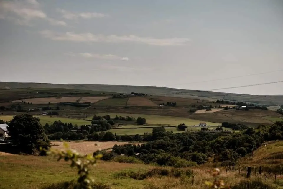 Garden in Grains Bar Hotel