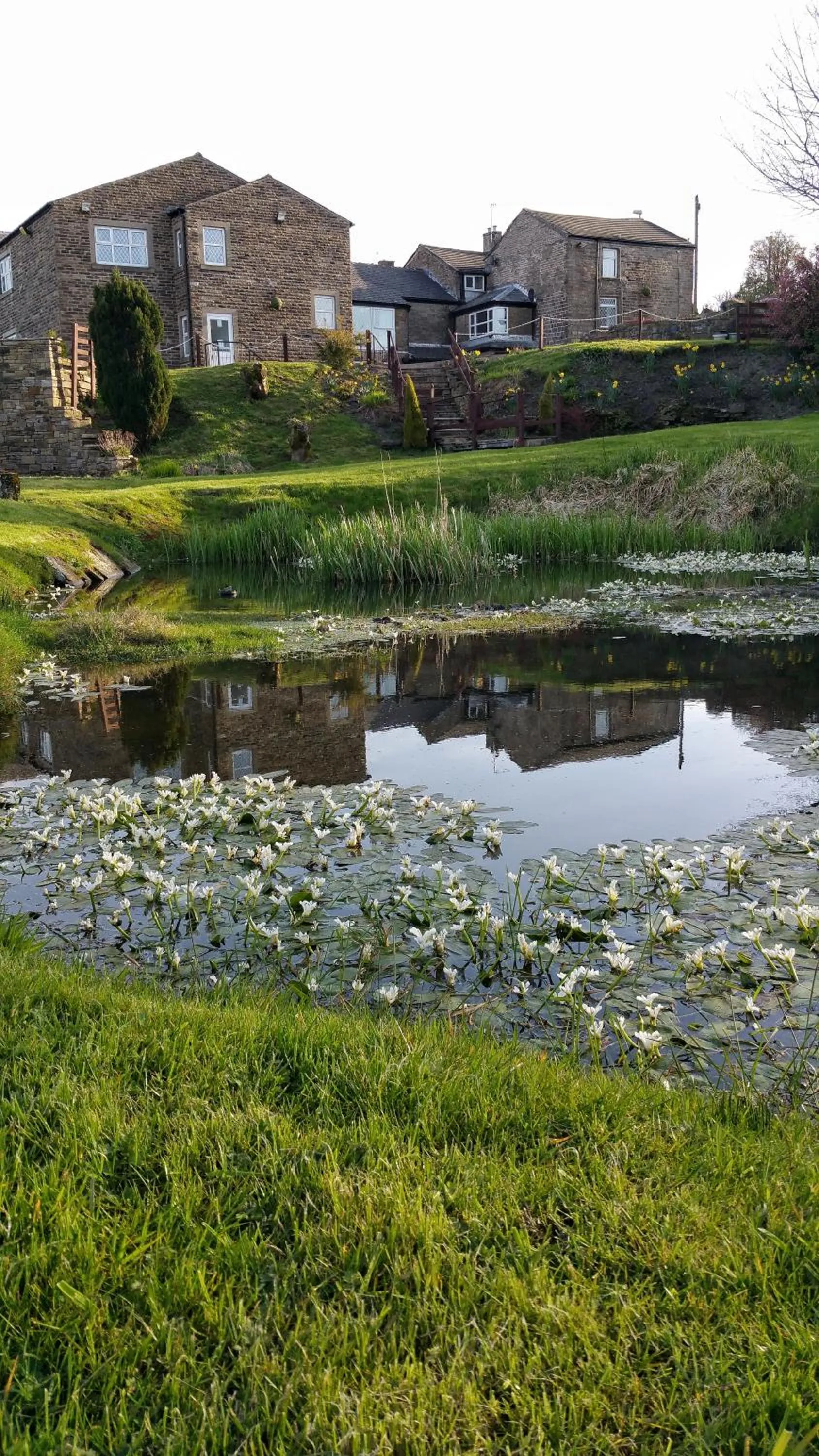 Natural landscape in Grains Bar Hotel
