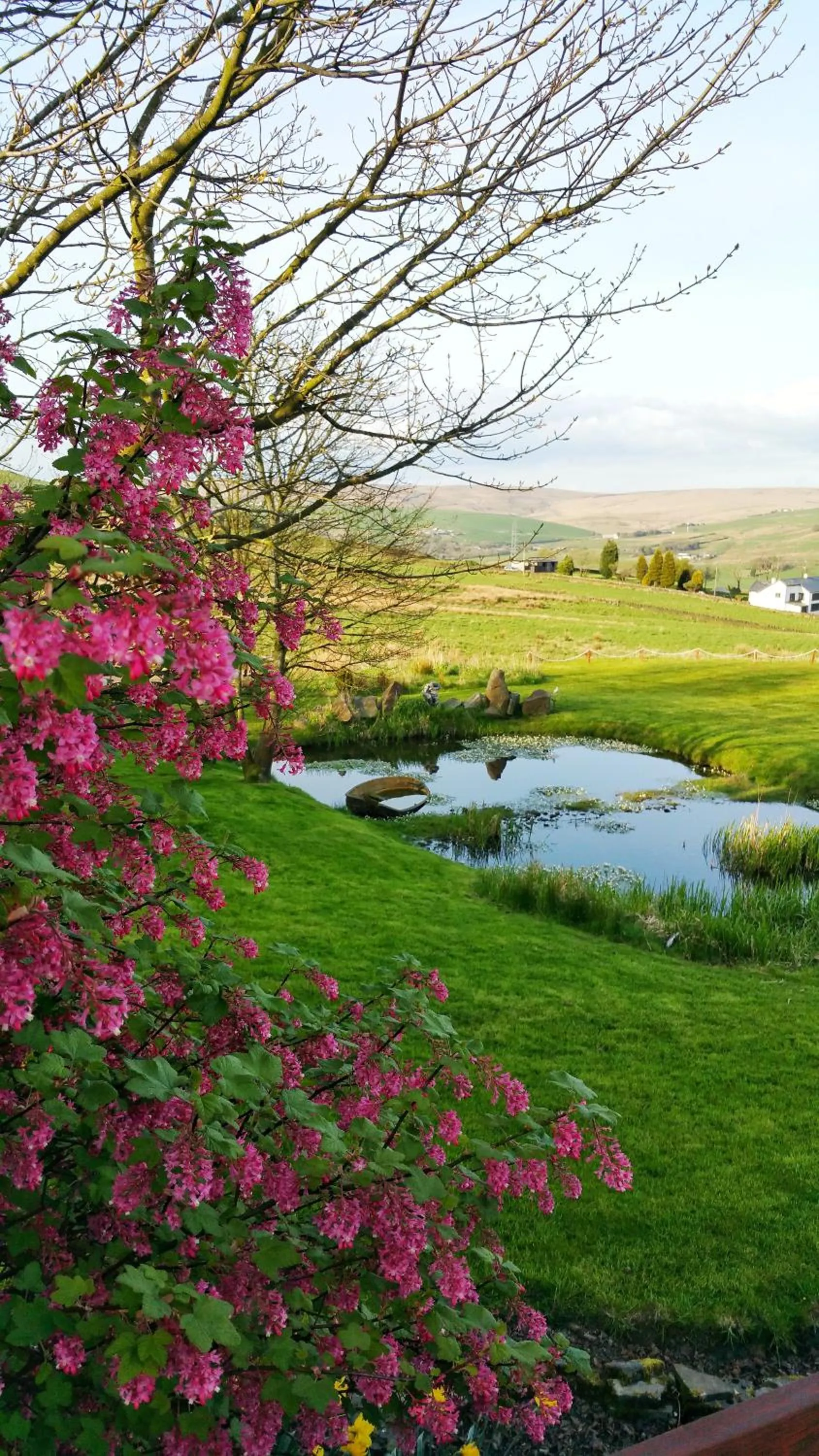 Garden in Grains Bar Hotel