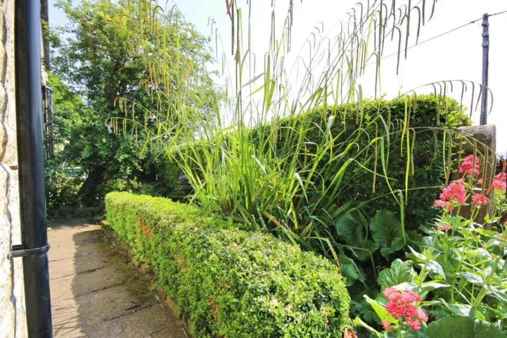 Garden in Grains Bar Hotel