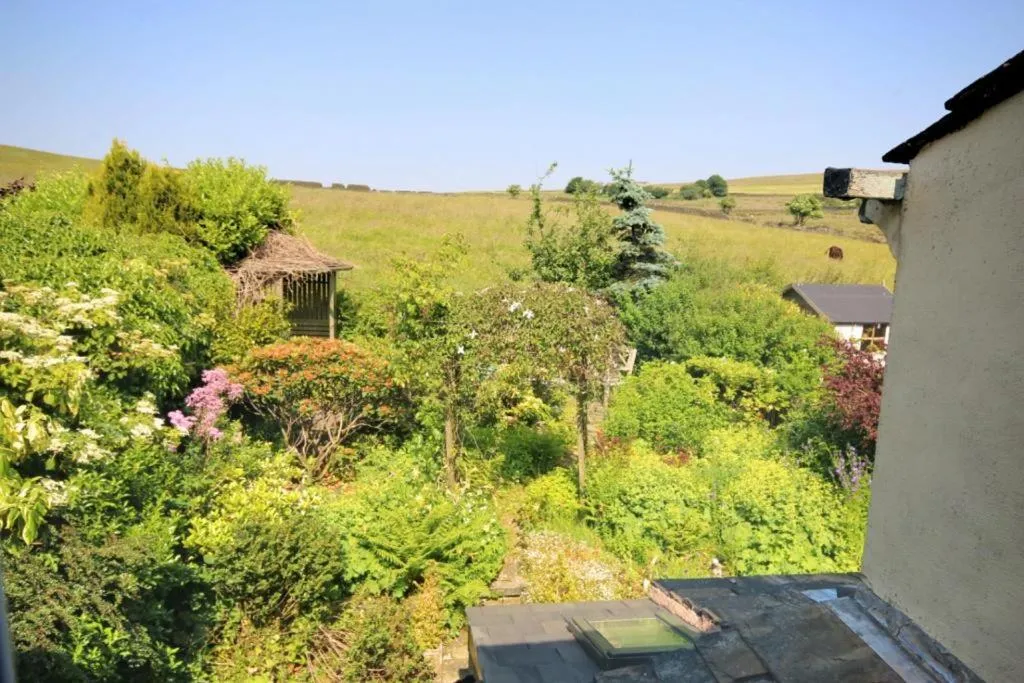 Garden in Grains Bar Hotel