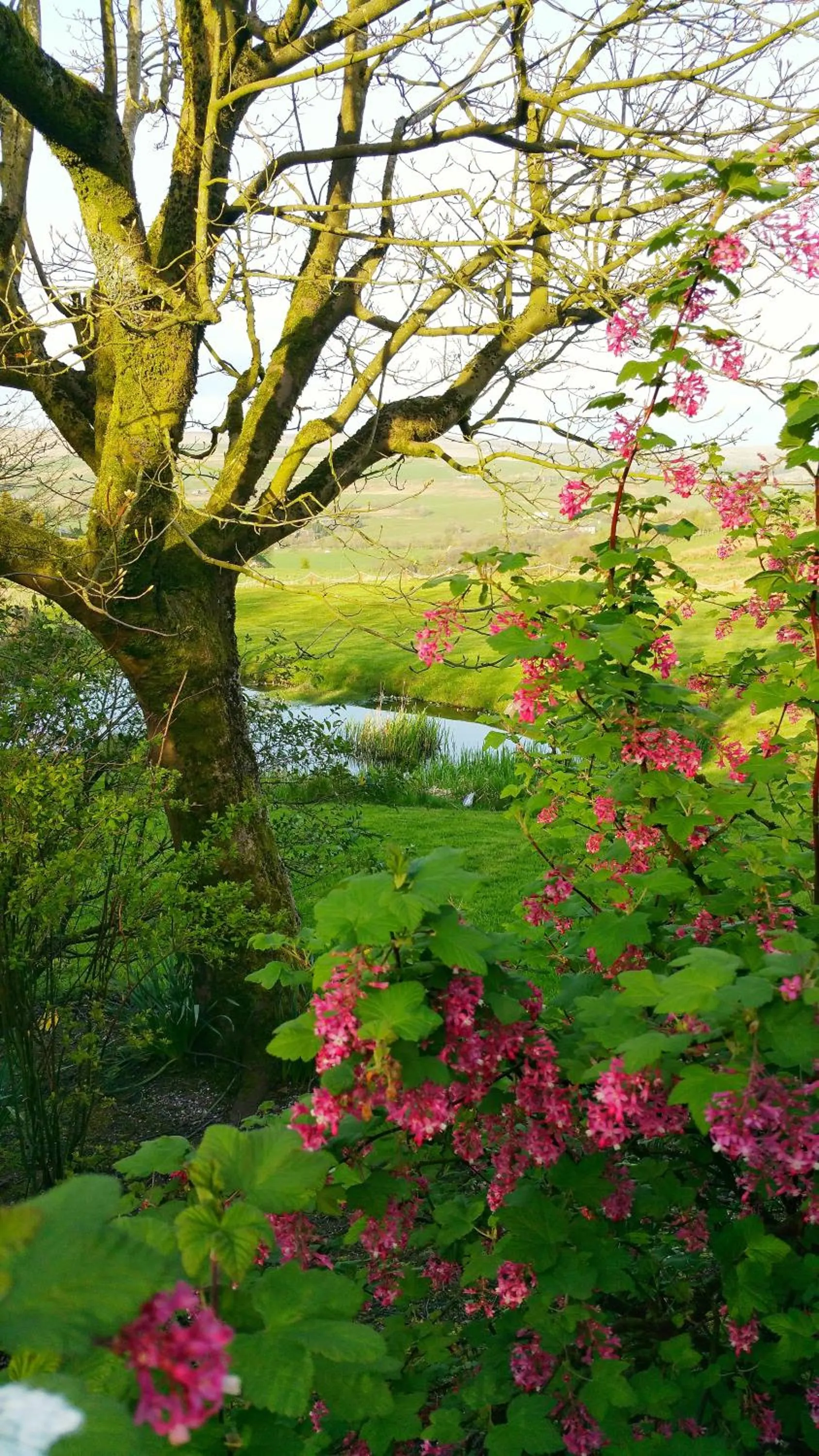 Natural landscape in Grains Bar Hotel