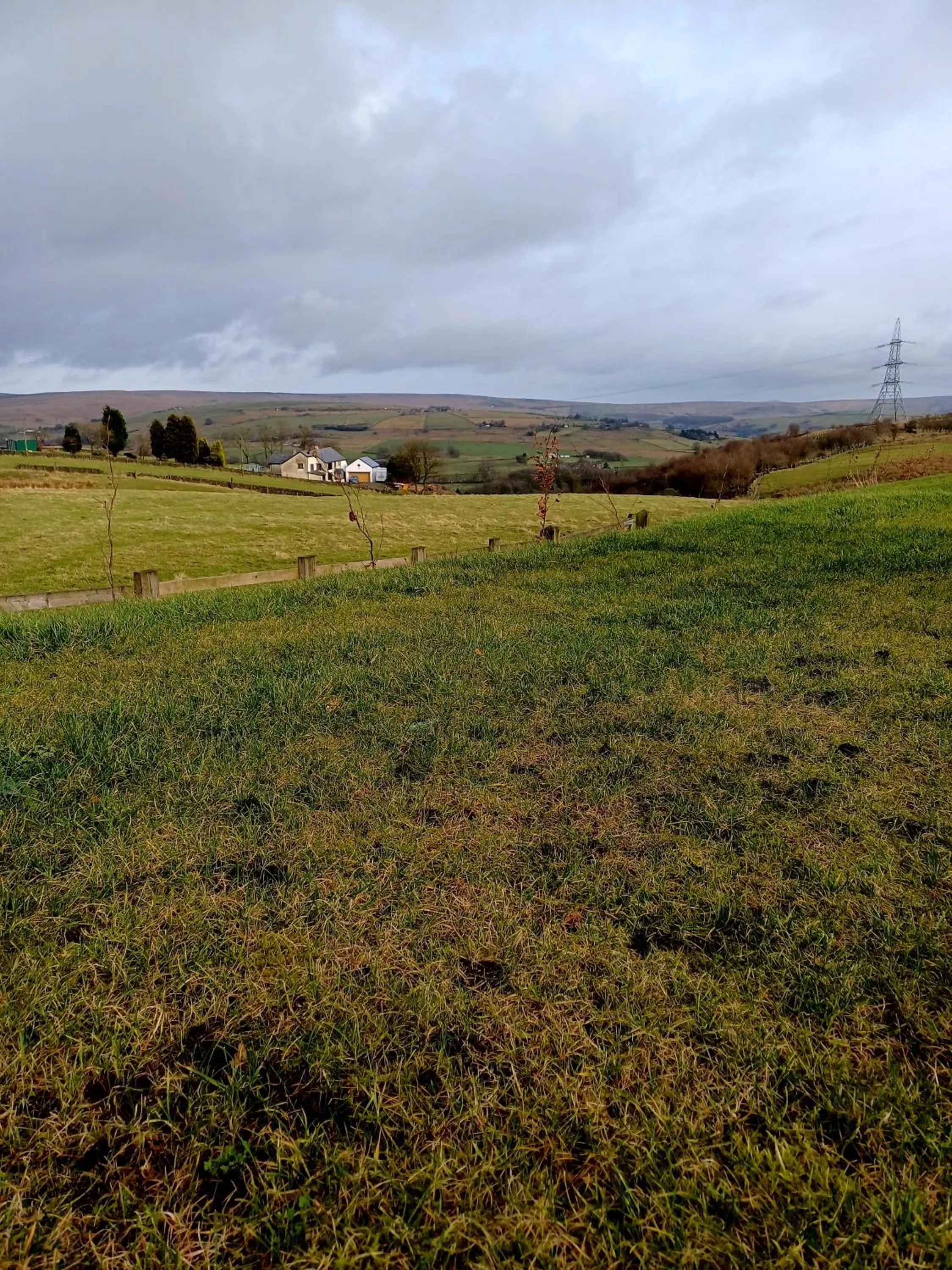 Garden in Grains Bar Hotel