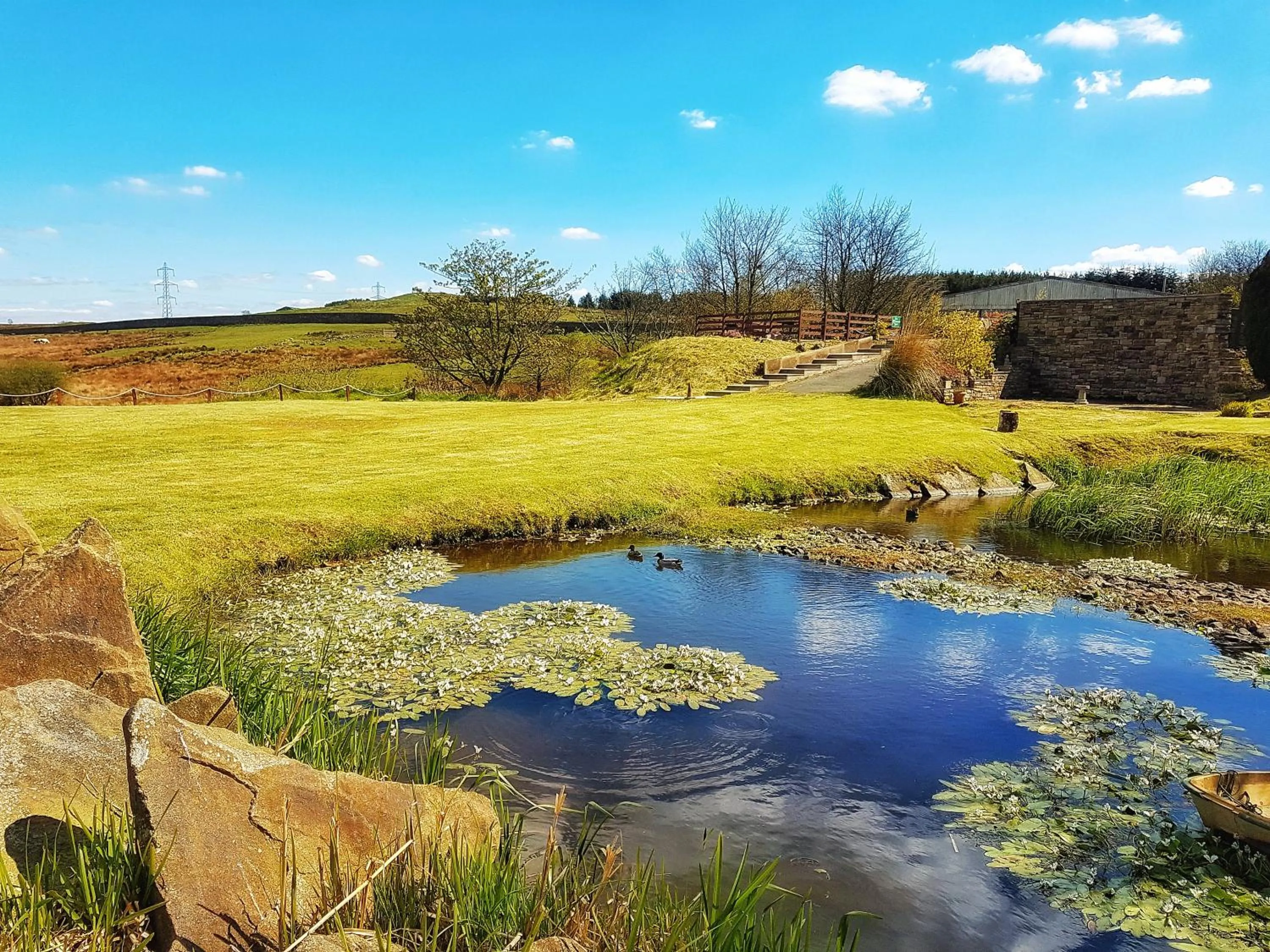 Garden in Grains Bar Hotel
