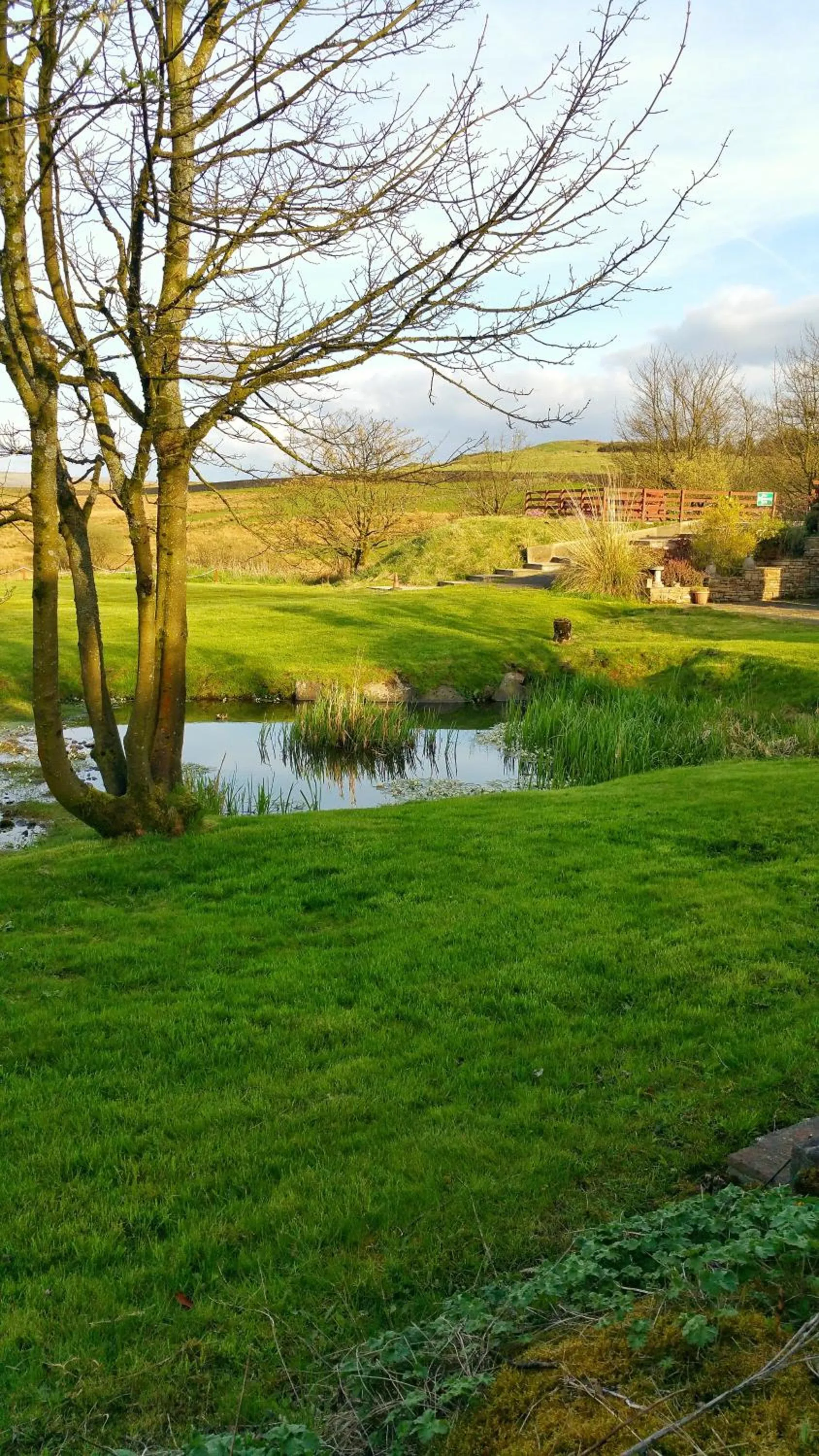 Garden in Grains Bar Hotel