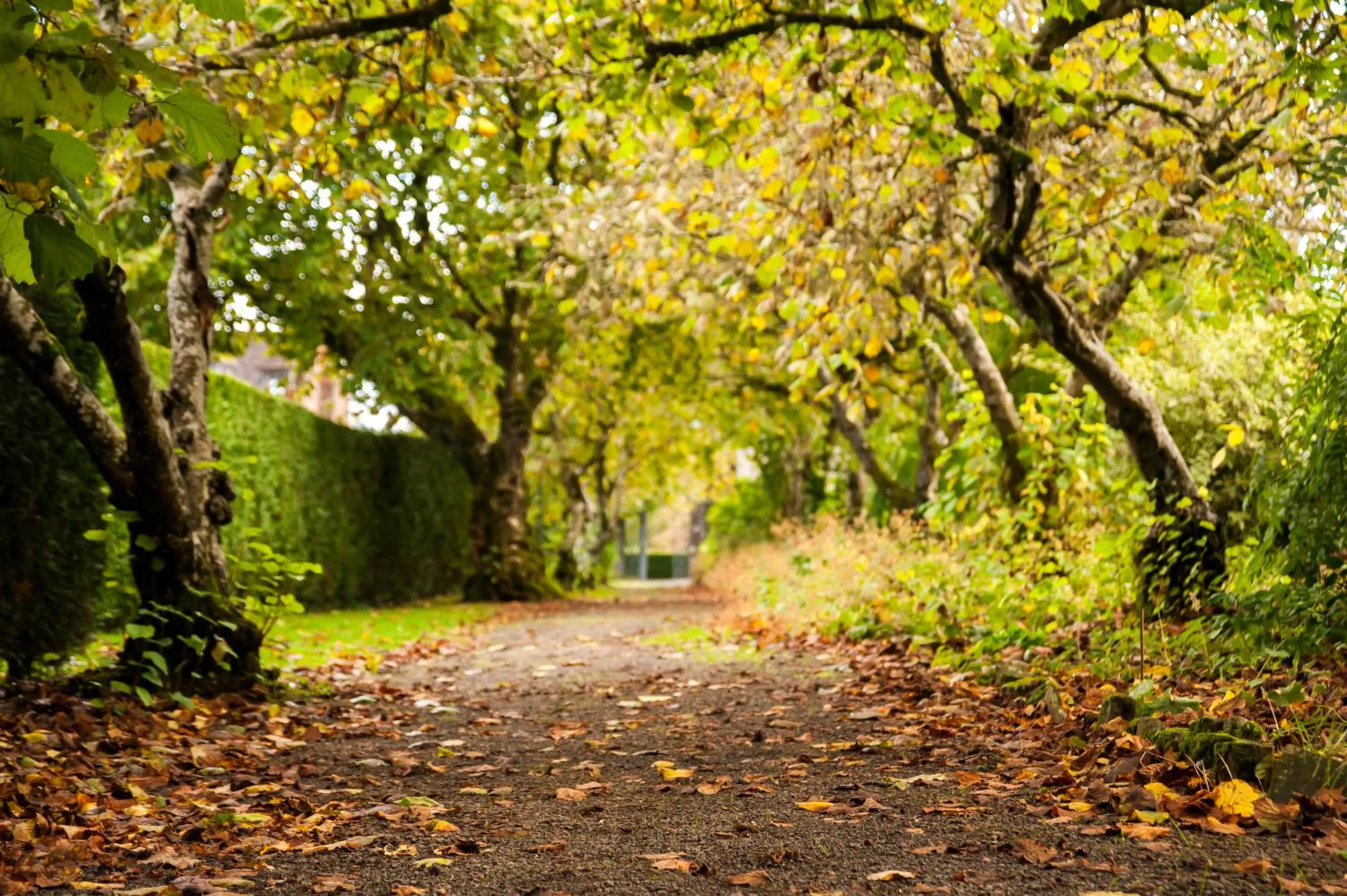 Facade/entrance in Llangoed Hall