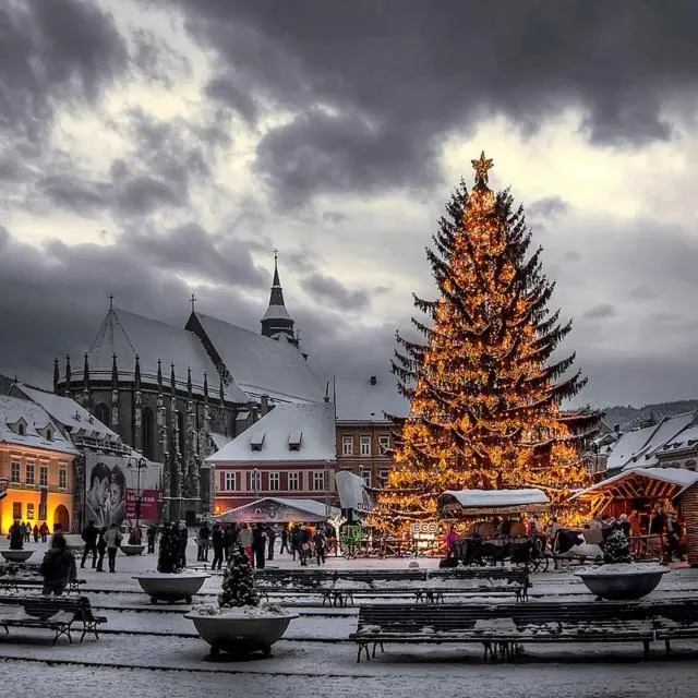 Other in Residence Ambient