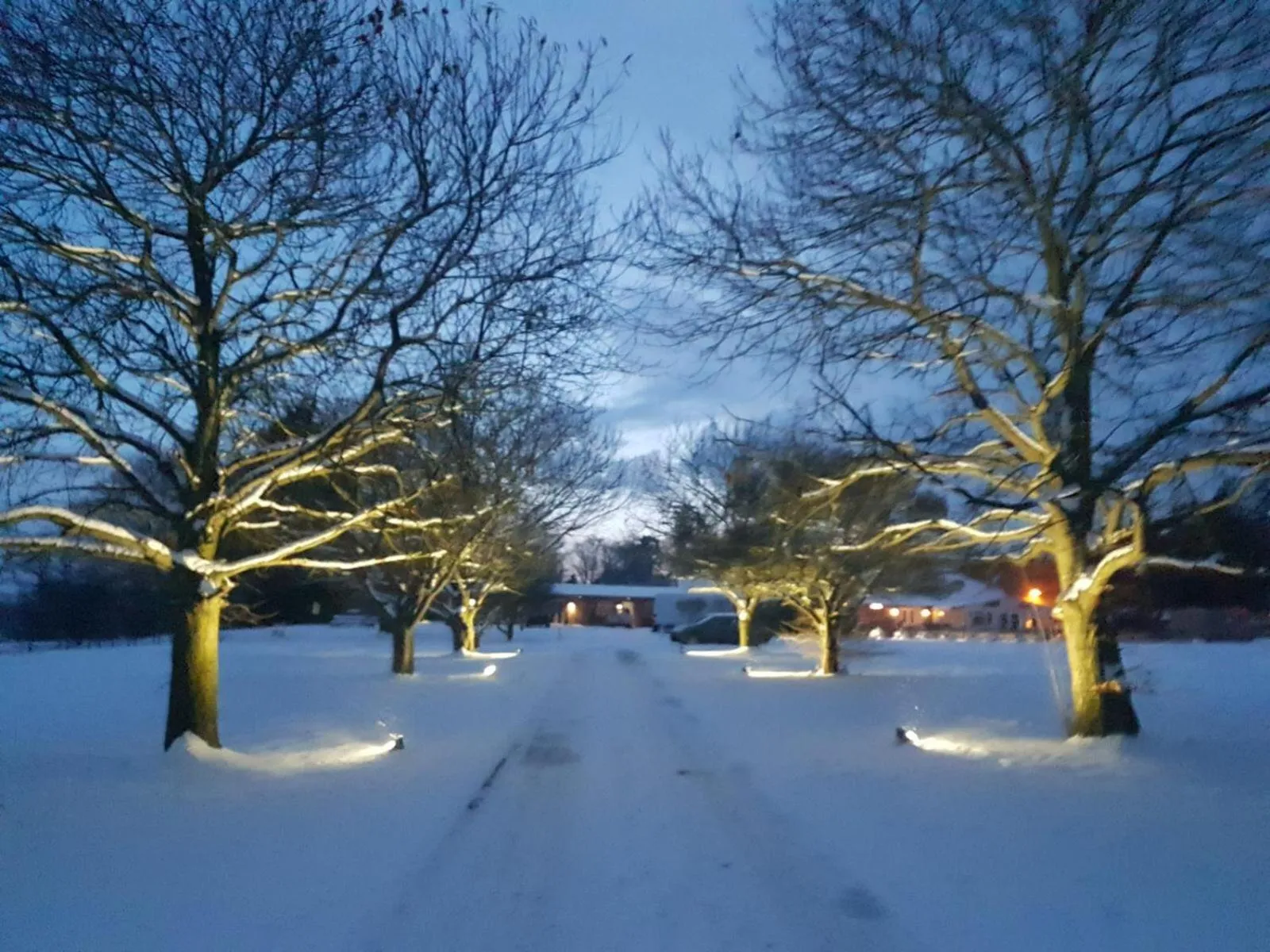 The Judds Folly Hotel, Sure Hotel Collection by Best Western