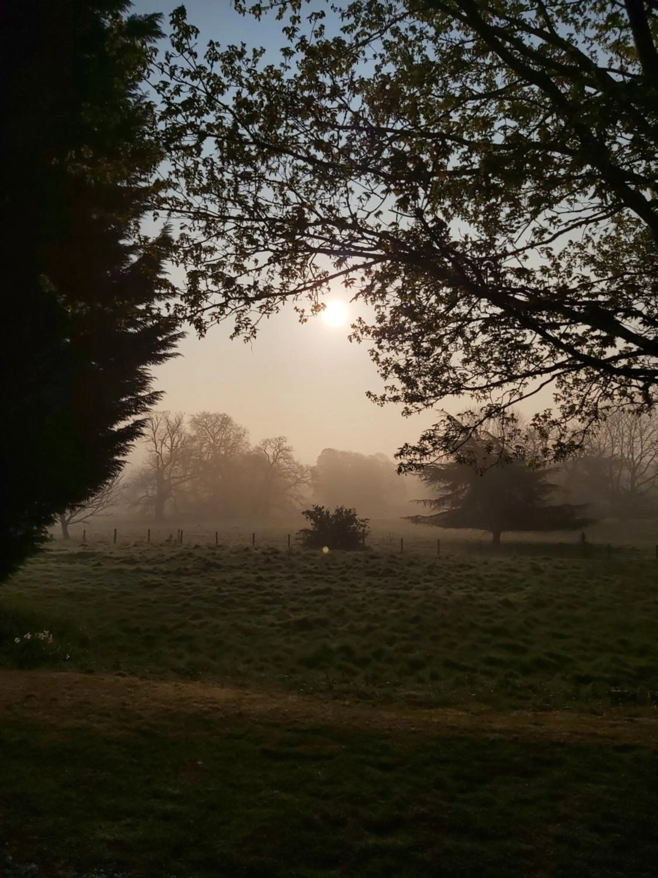 Natural landscape in The Judds Folly Hotel, Sure Hotel Collection by Best Western