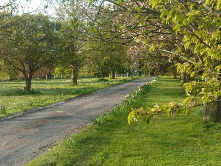Garden in The Judds Folly Hotel, Sure Hotel Collection by Best Western