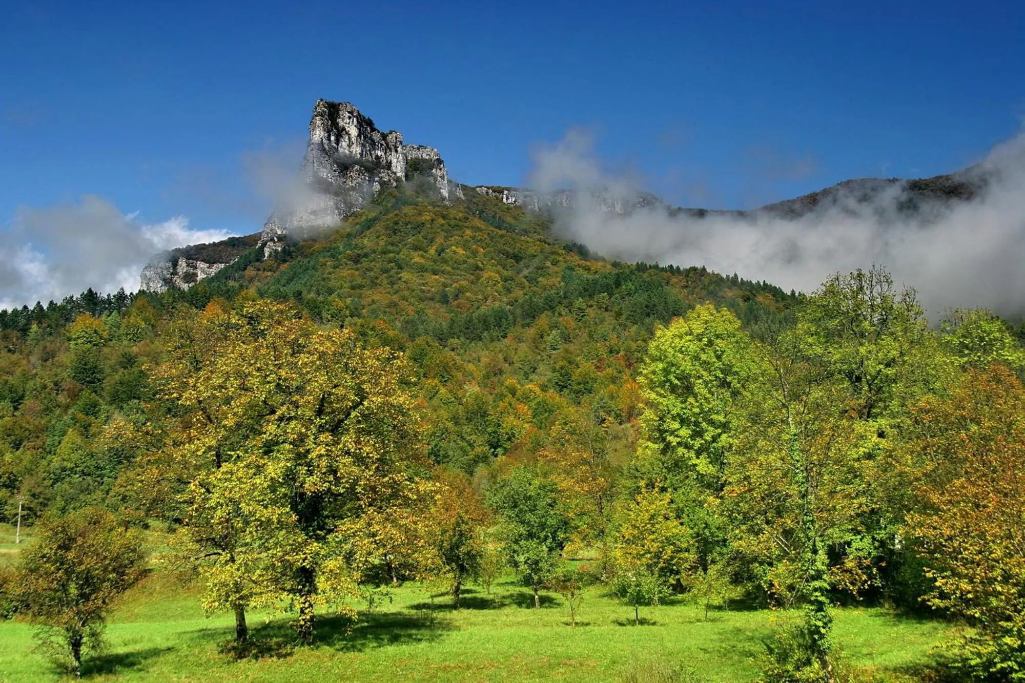 Natural landscape in Hotel Kovac