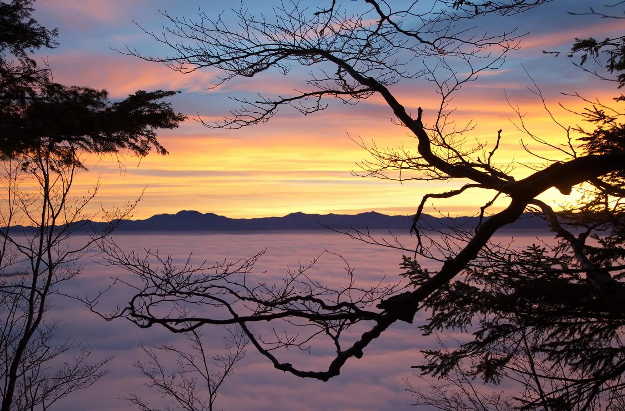 Natural landscape in Hotel Kovac
