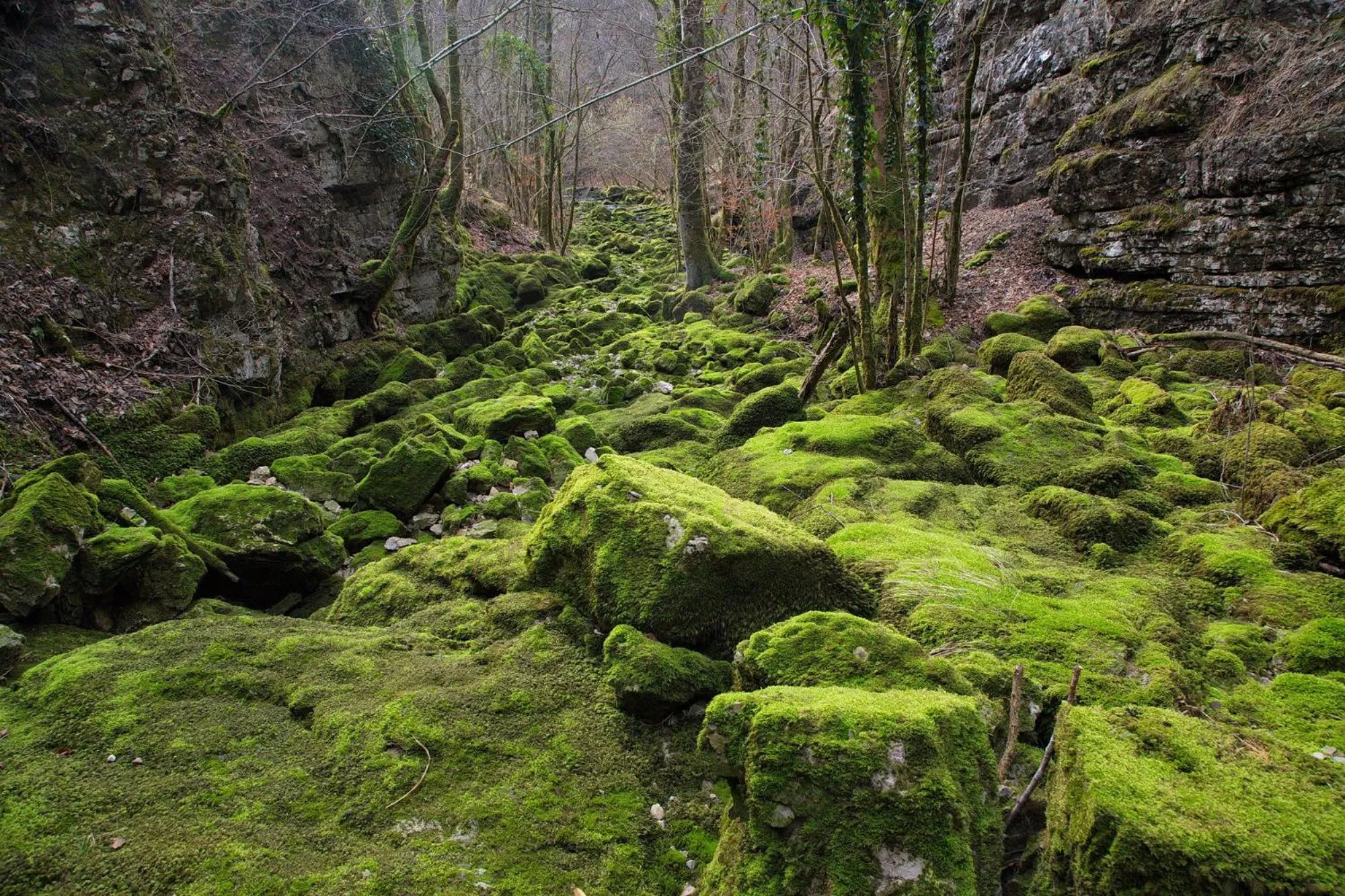 Natural landscape in Hotel Kovac