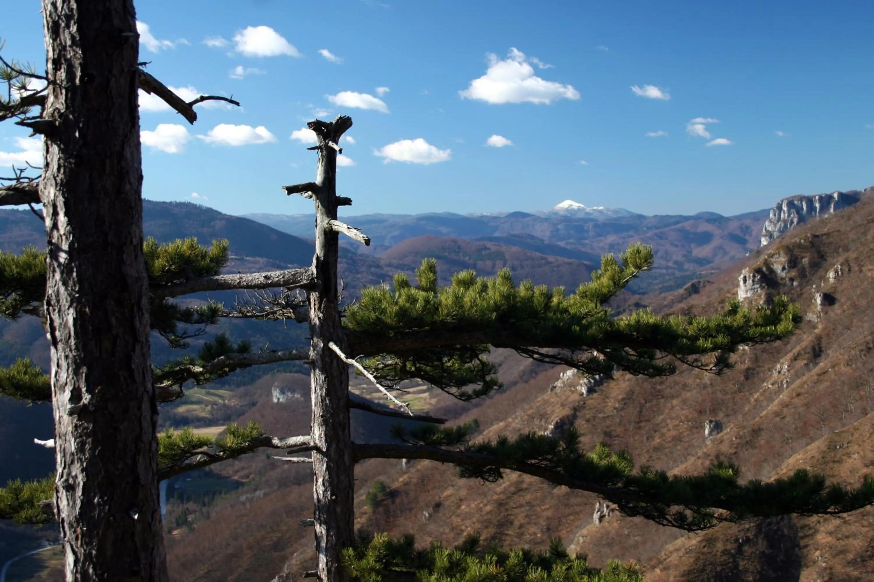Natural landscape in Hotel Kovac