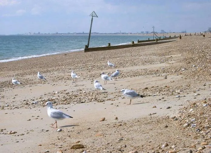 Day in Newtown House Hotel