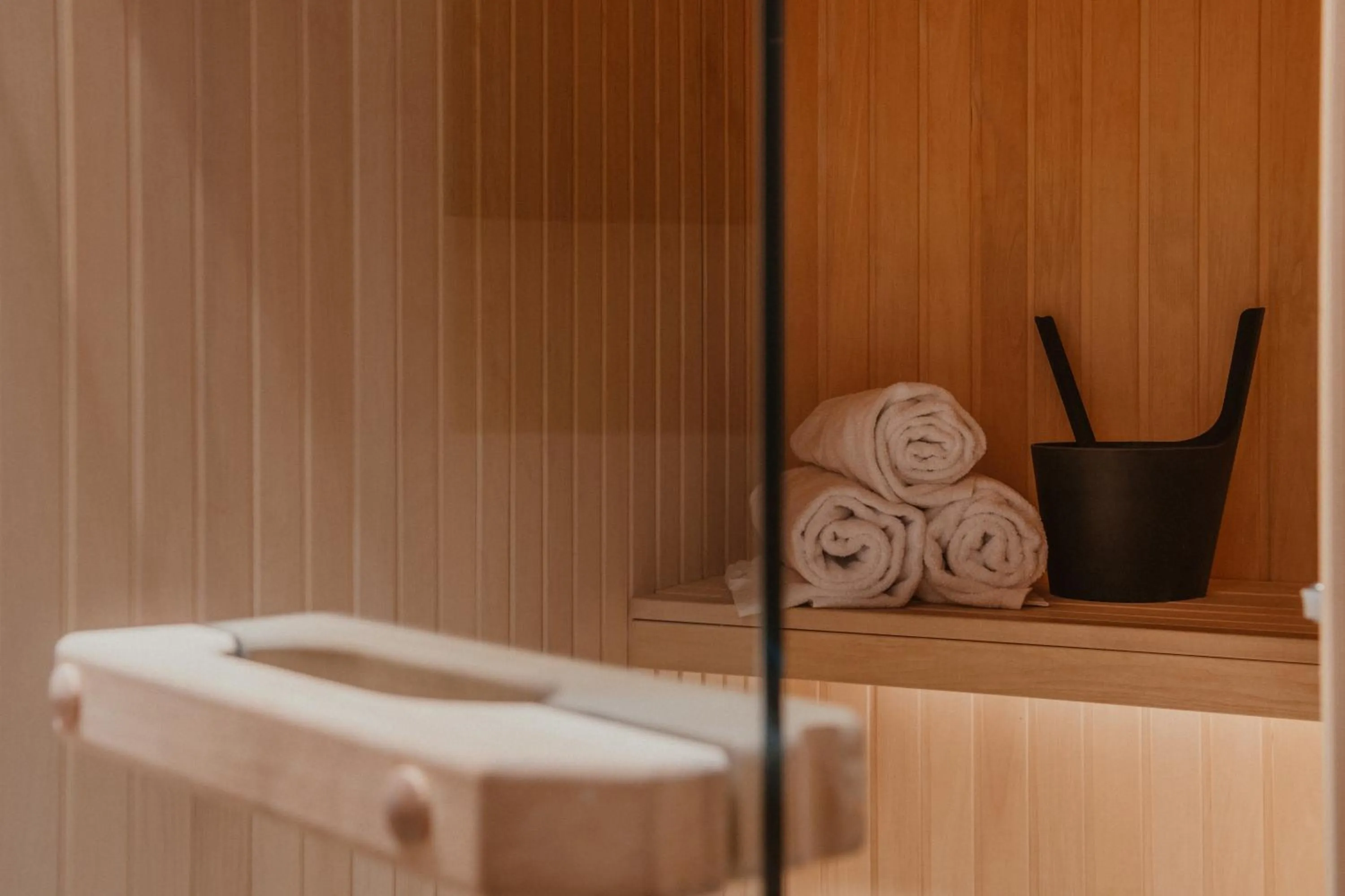 Sauna in Home Hotel Wellington