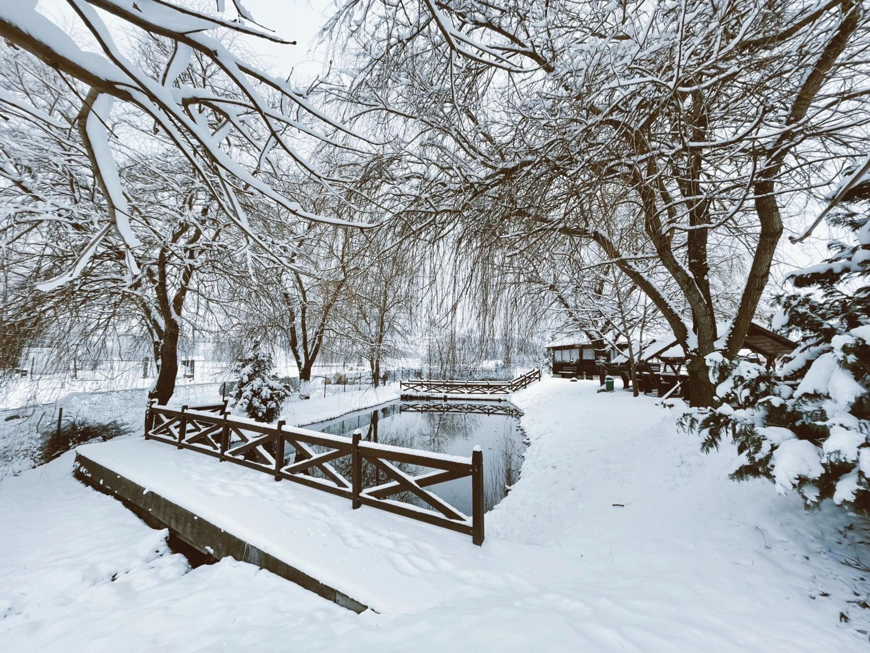 Winter in Pension Elegance