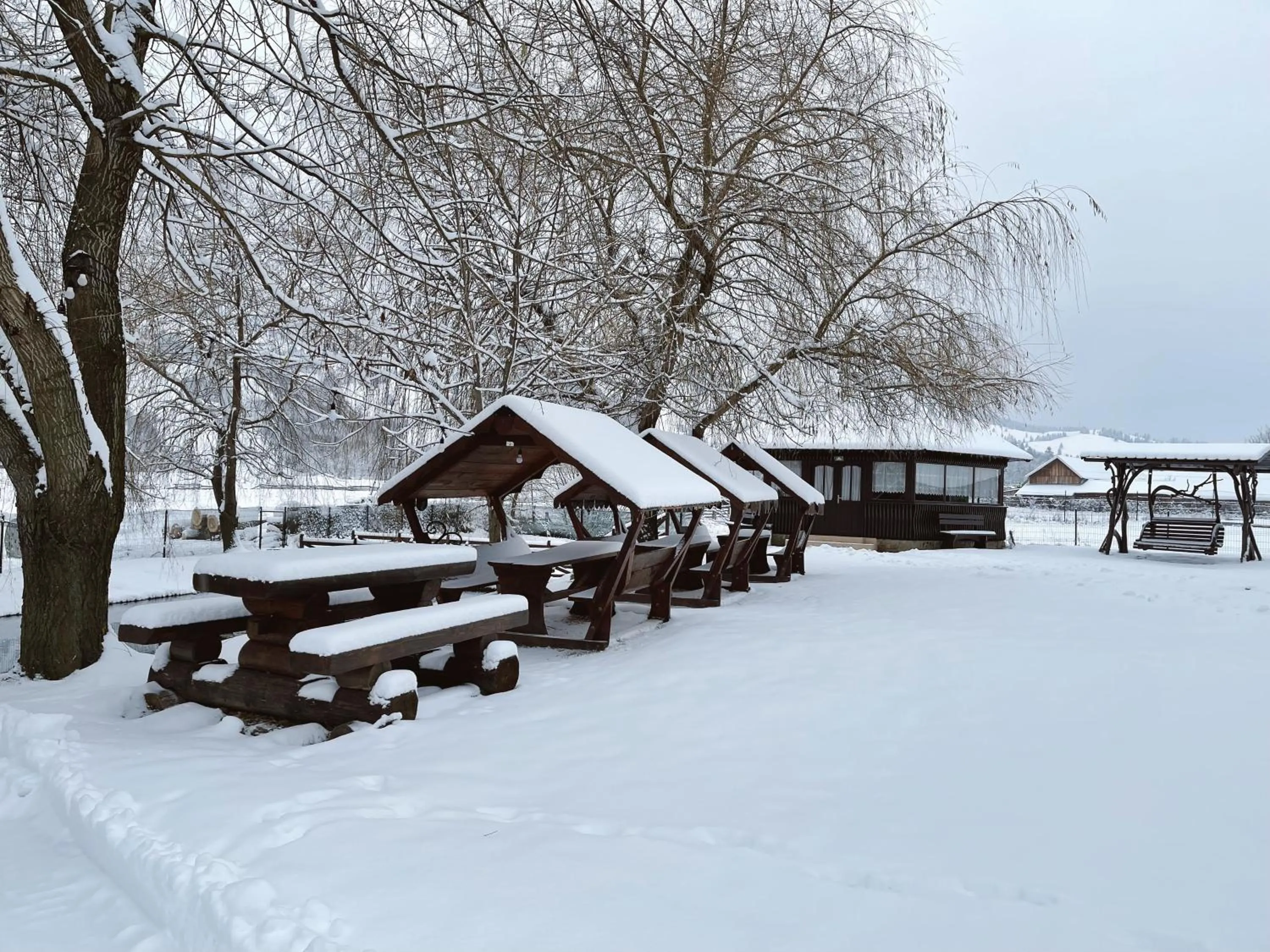 Winter in Pension Elegance