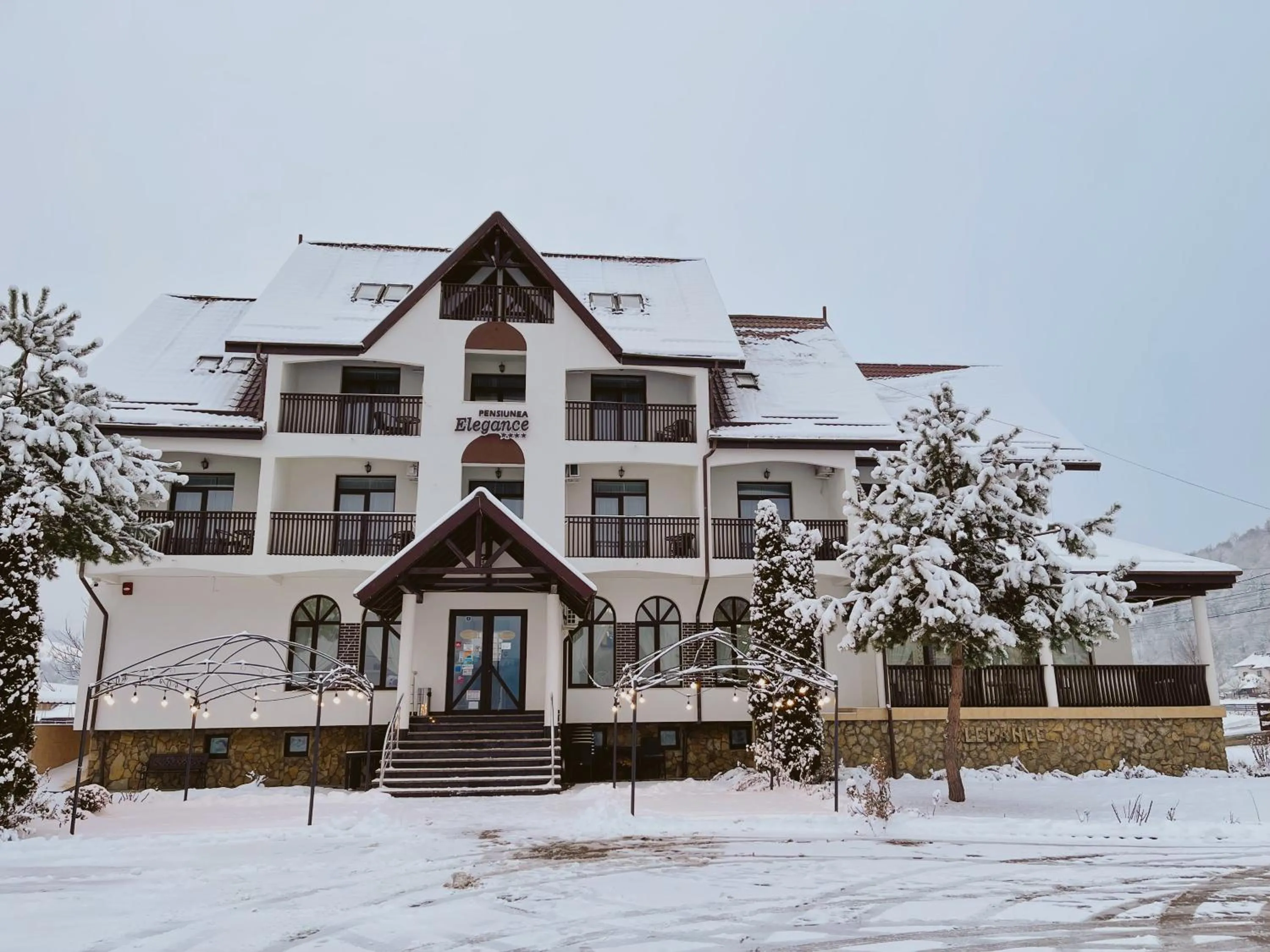 Winter in Pension Elegance