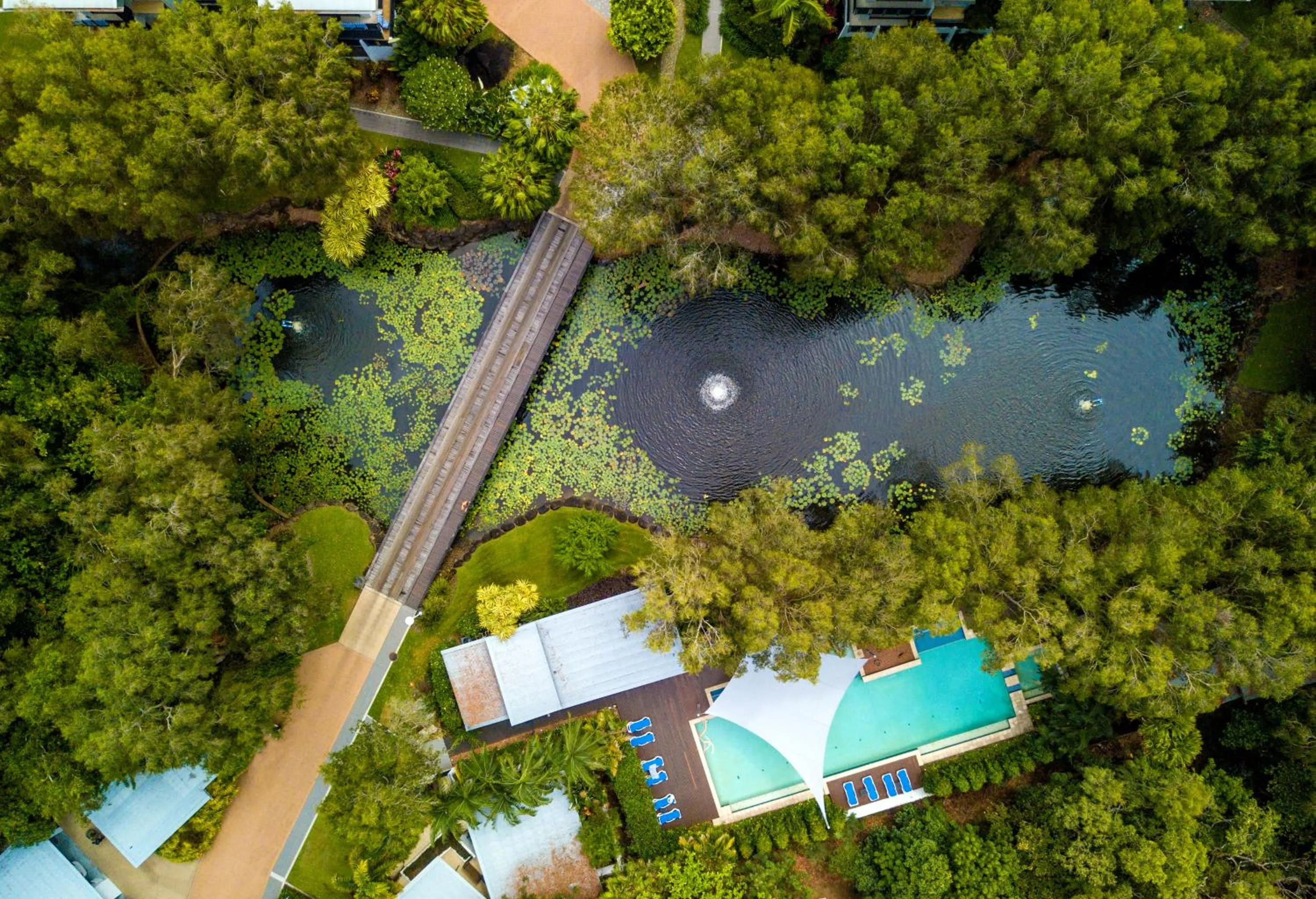 Bird's eye view in Sanctuary Palm Cove