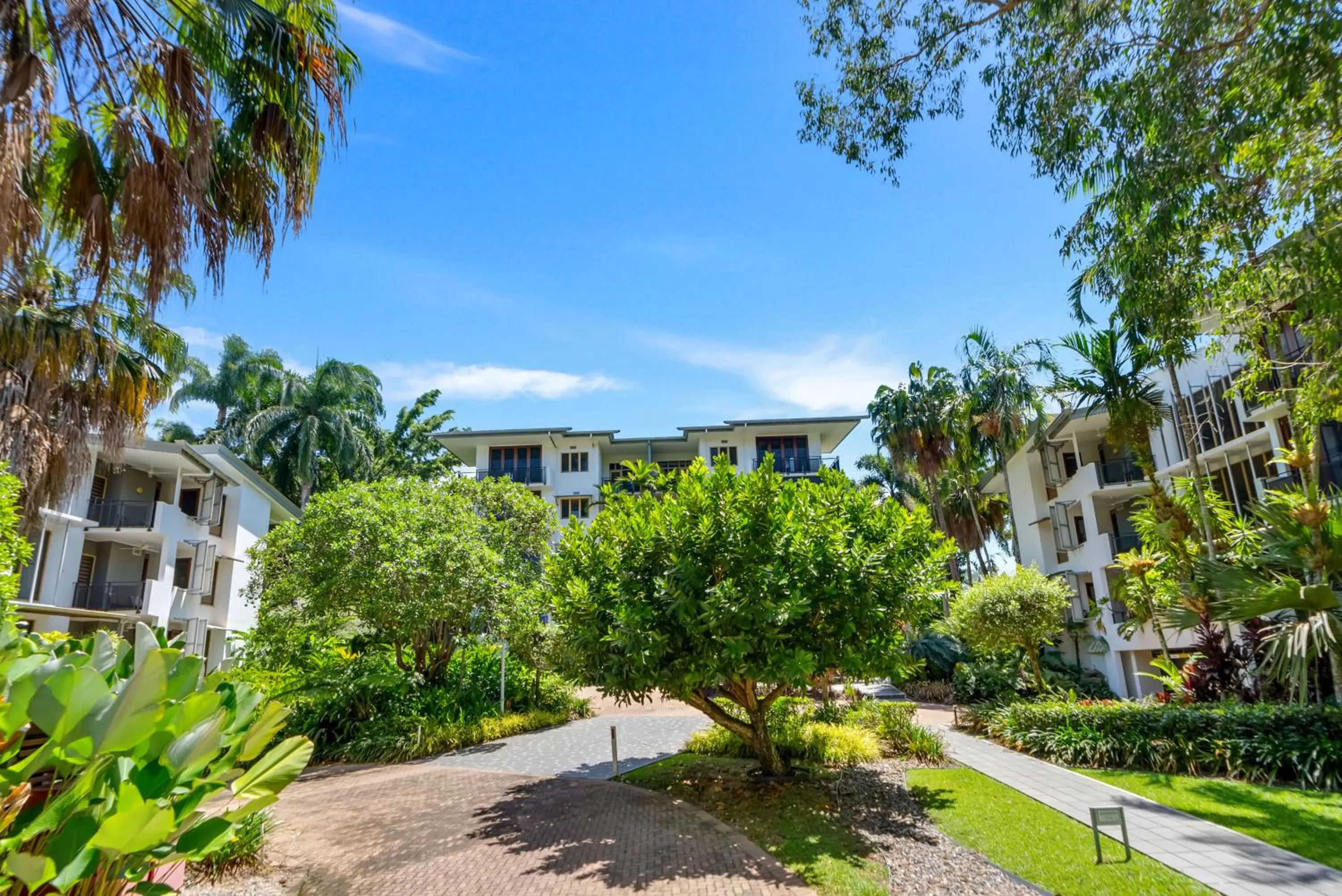 Natural landscape in Sanctuary Palm Cove