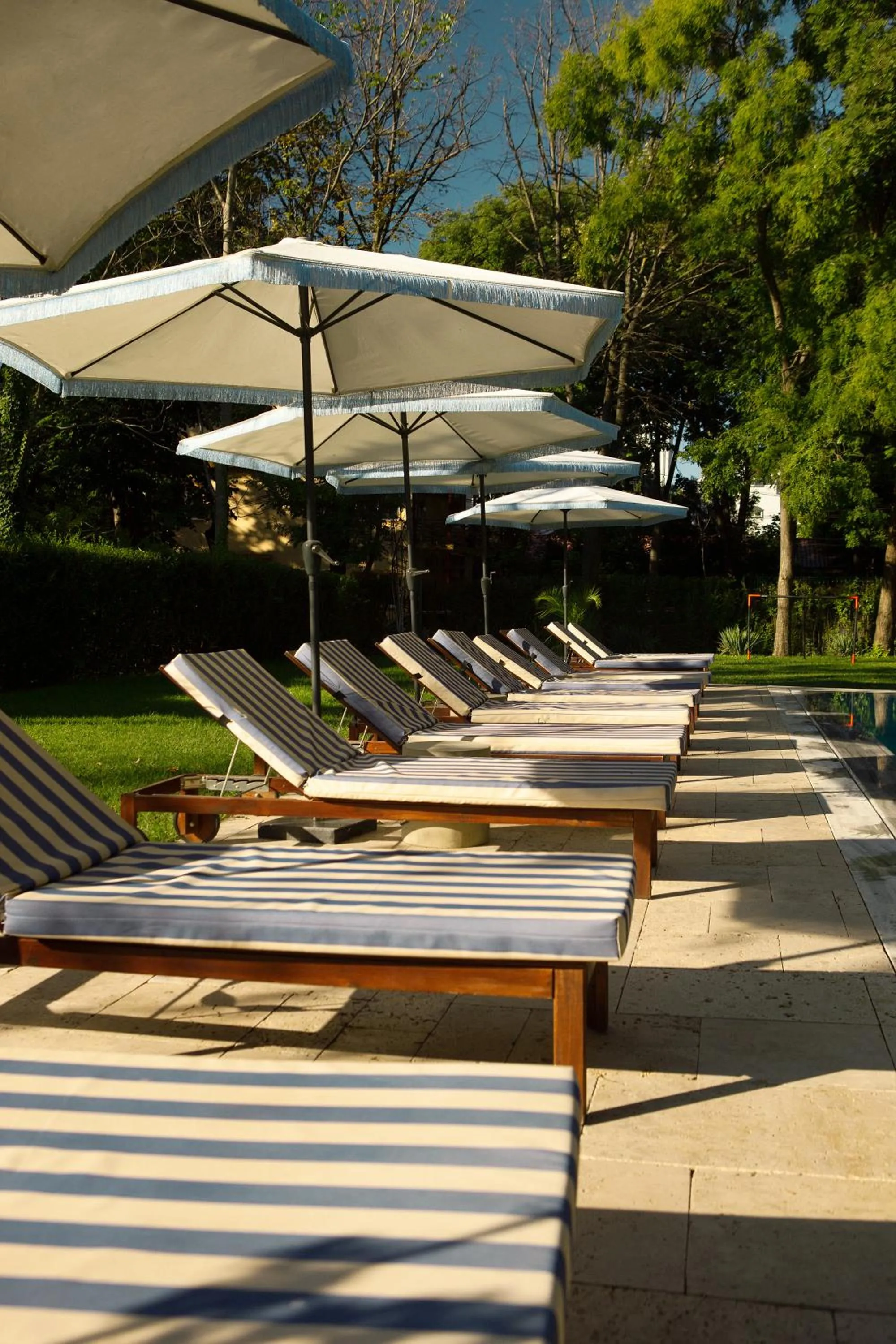 Garden in Hotel Victoria