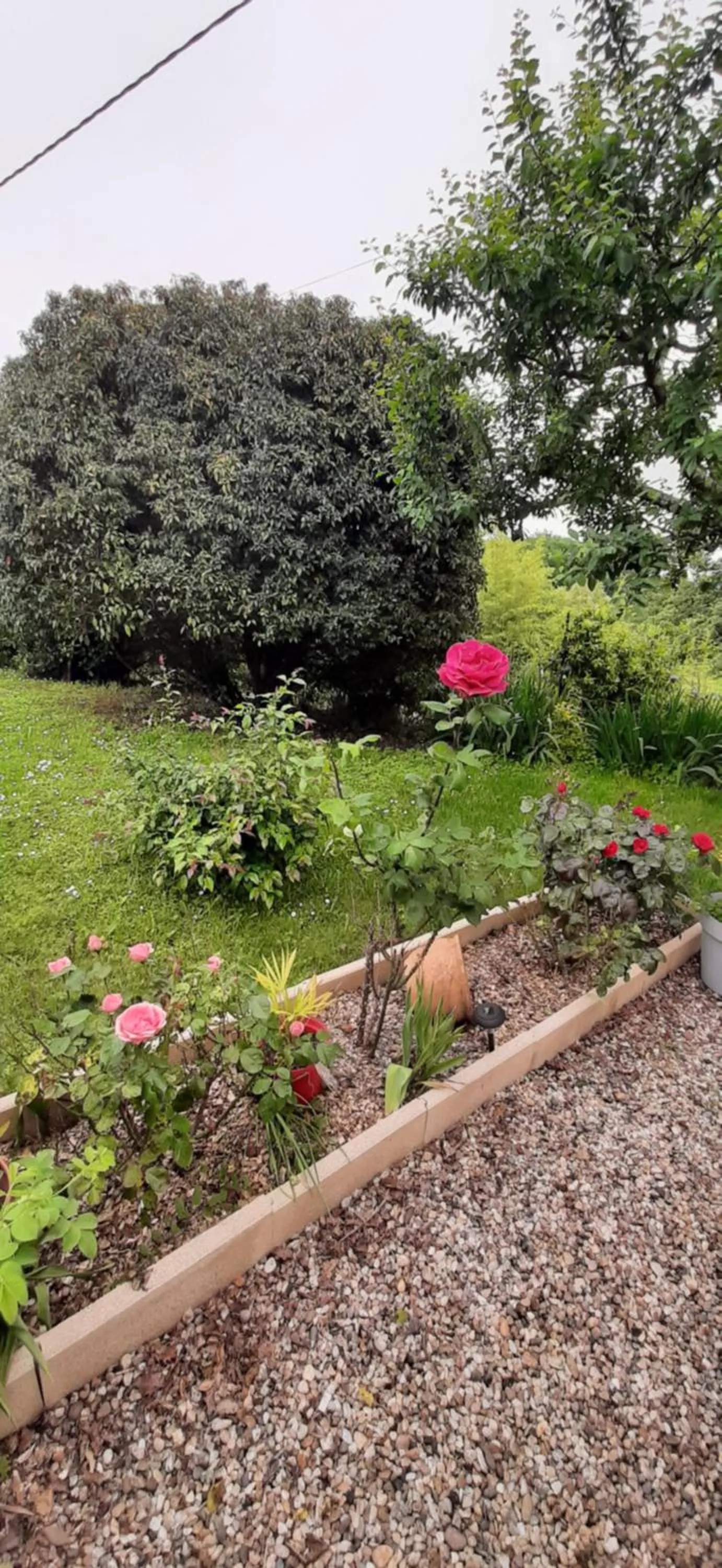 Garden in La Mirabelle