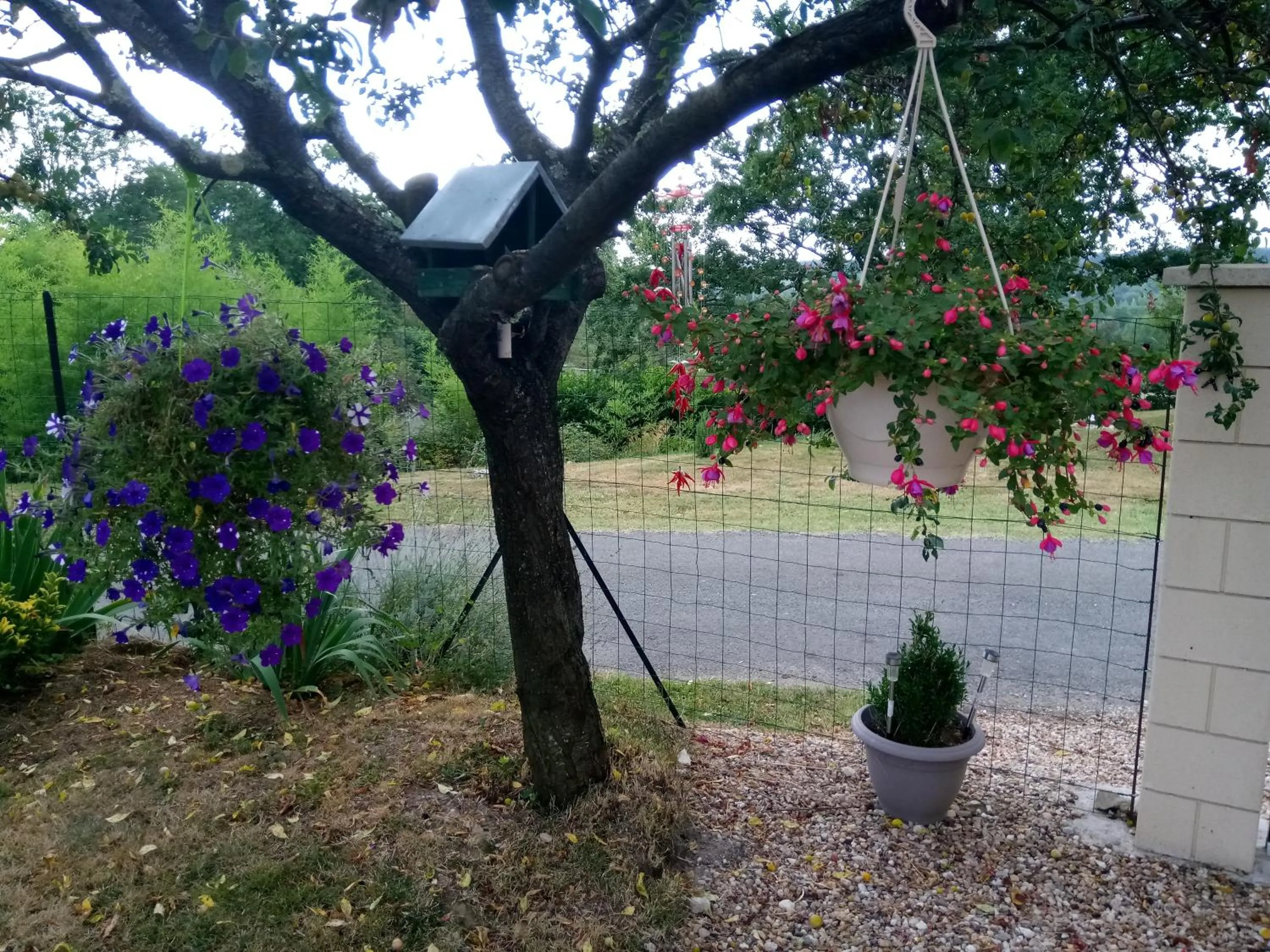 Garden view in La Mirabelle
