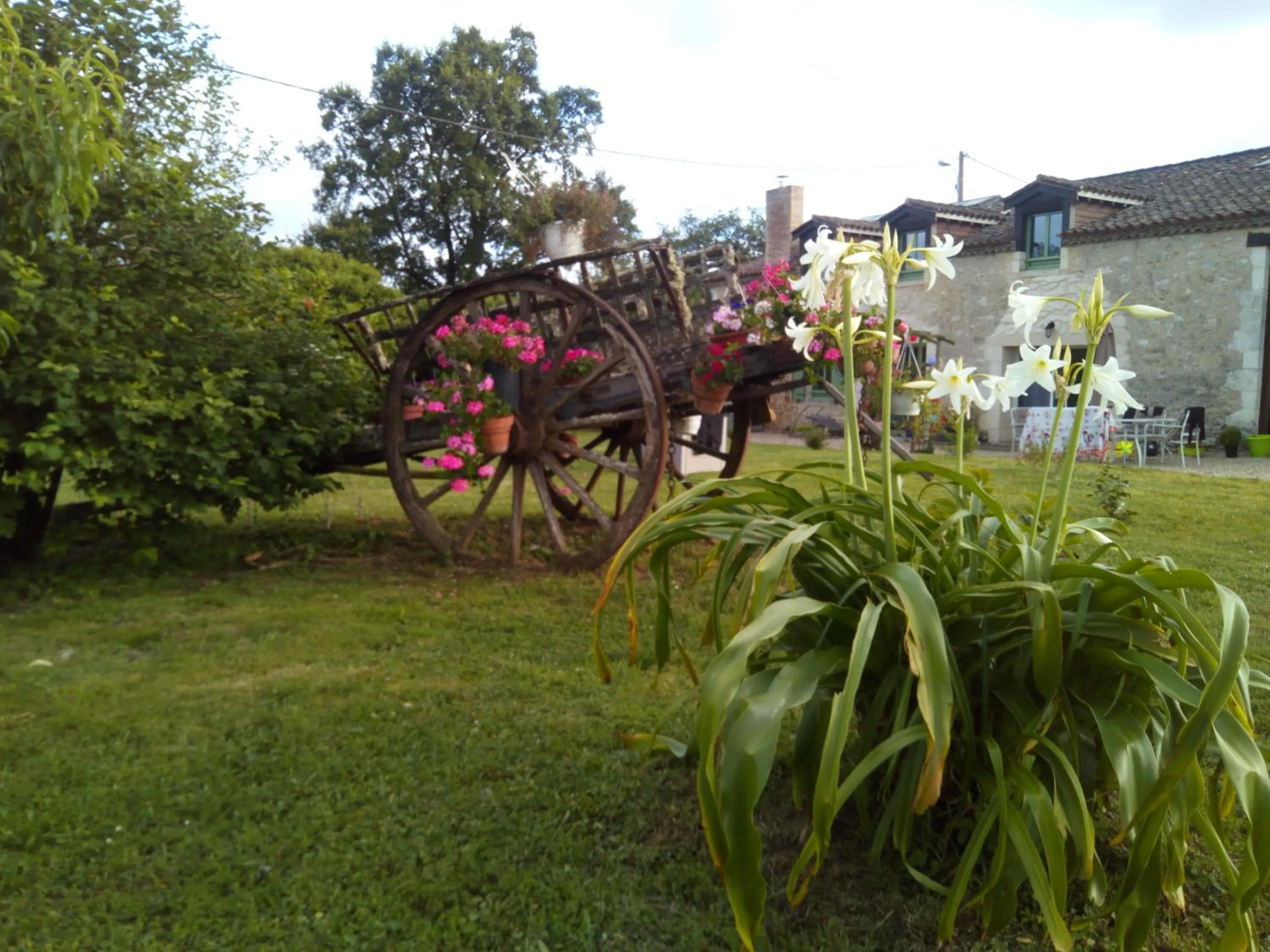 Other in La Mirabelle