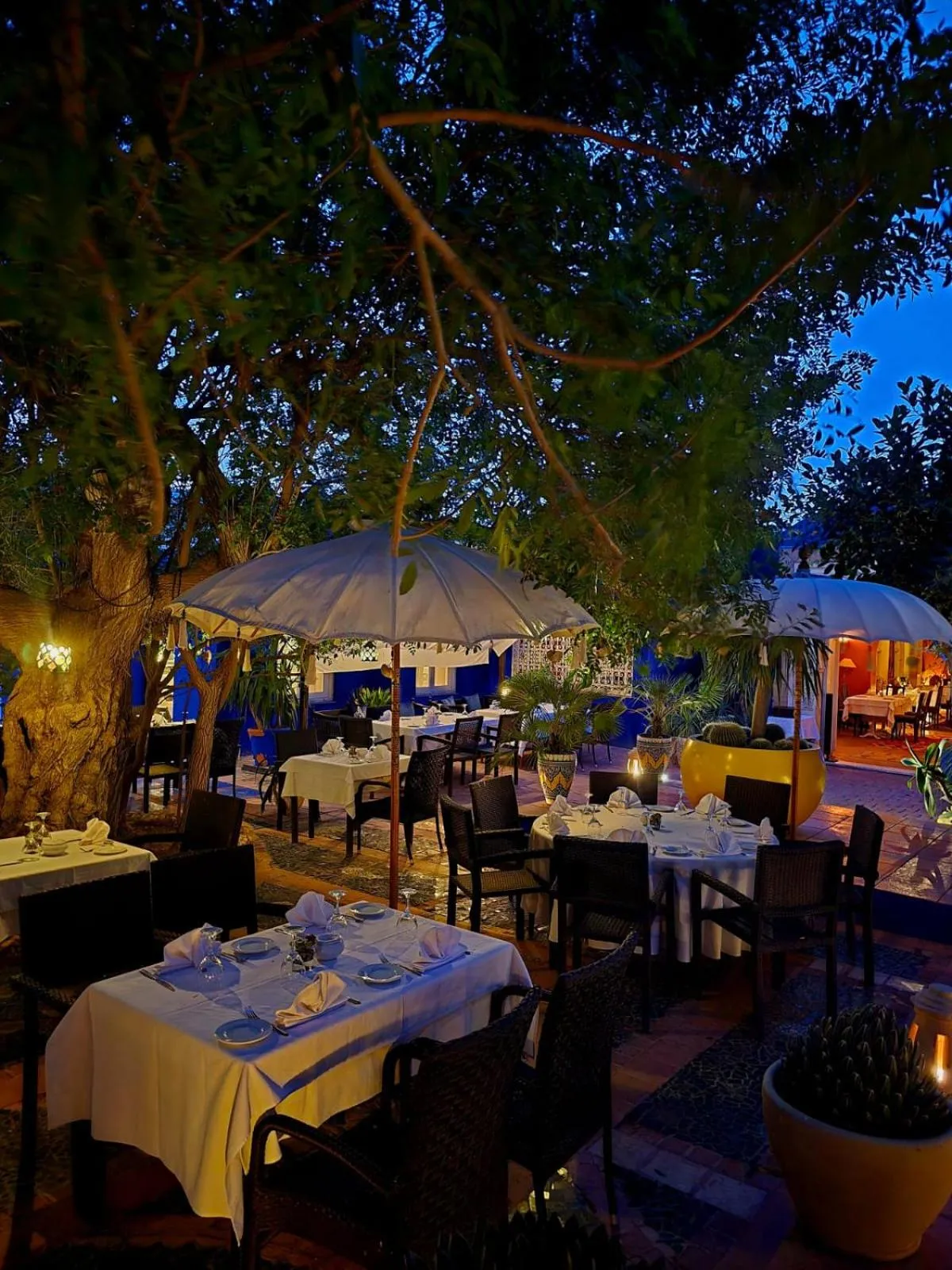 Restaurant/places to eat in Africa Jade Thalasso
