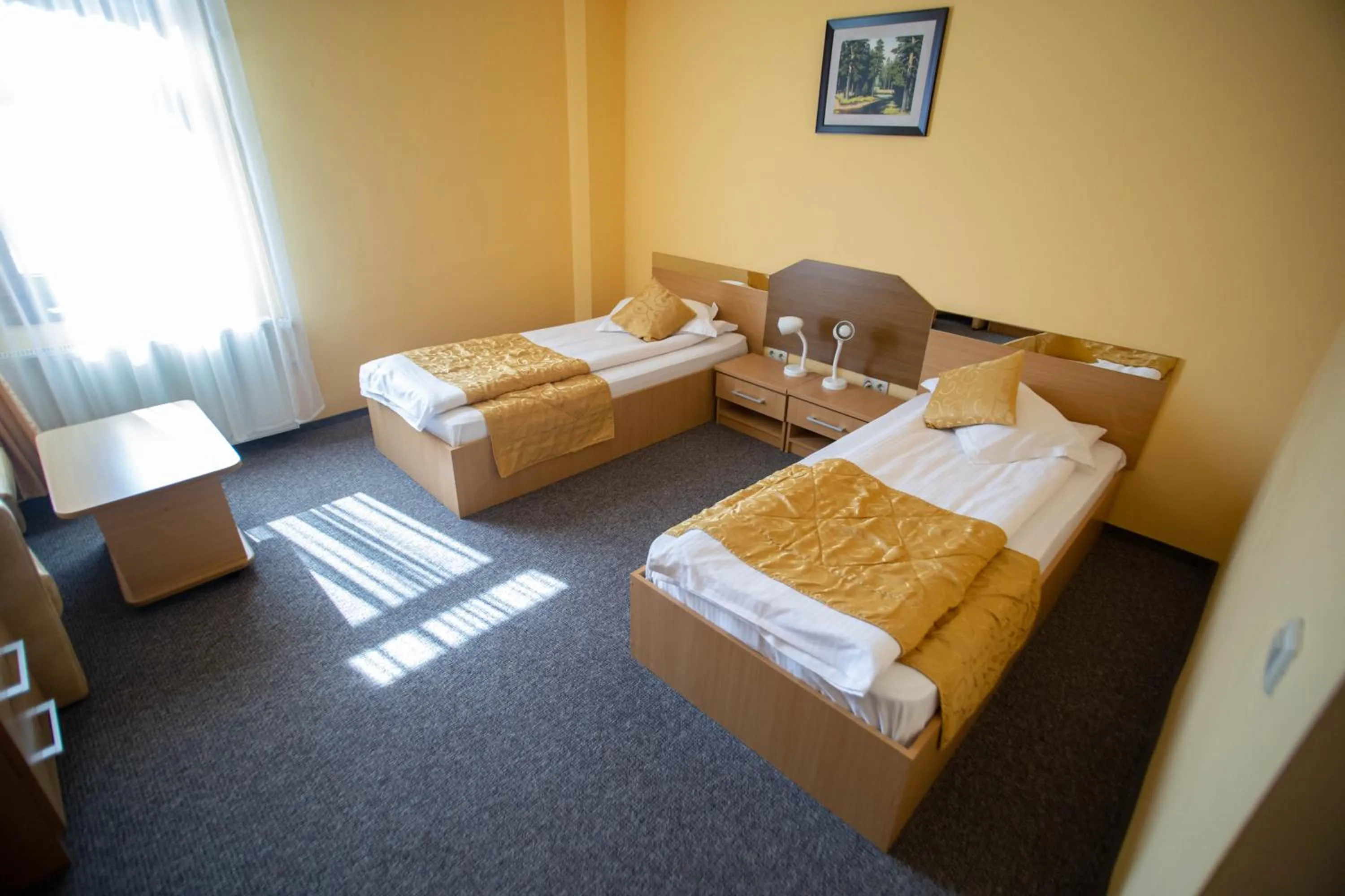 Bed in Hotel Alexandra