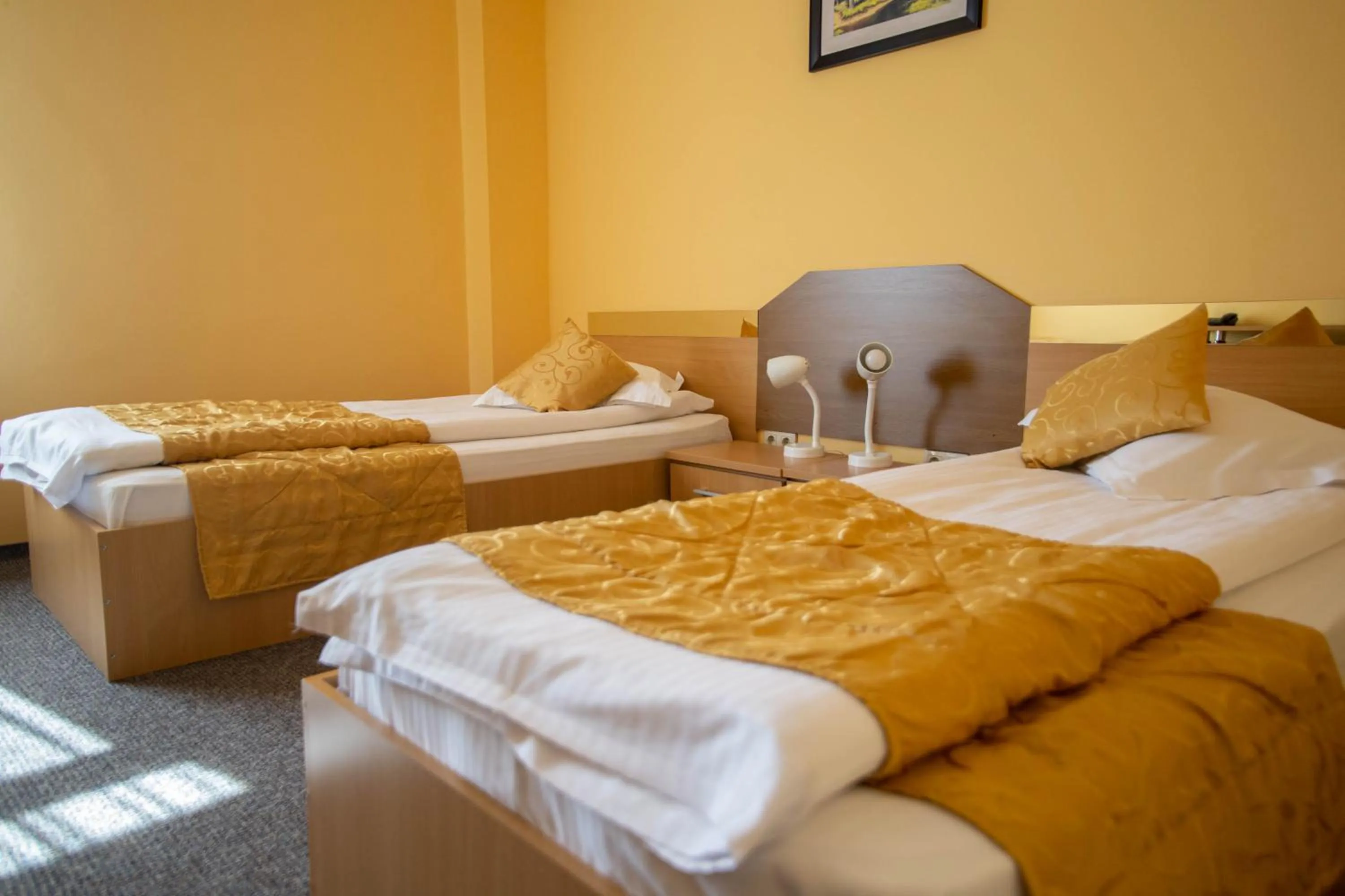 Bed in Hotel Alexandra