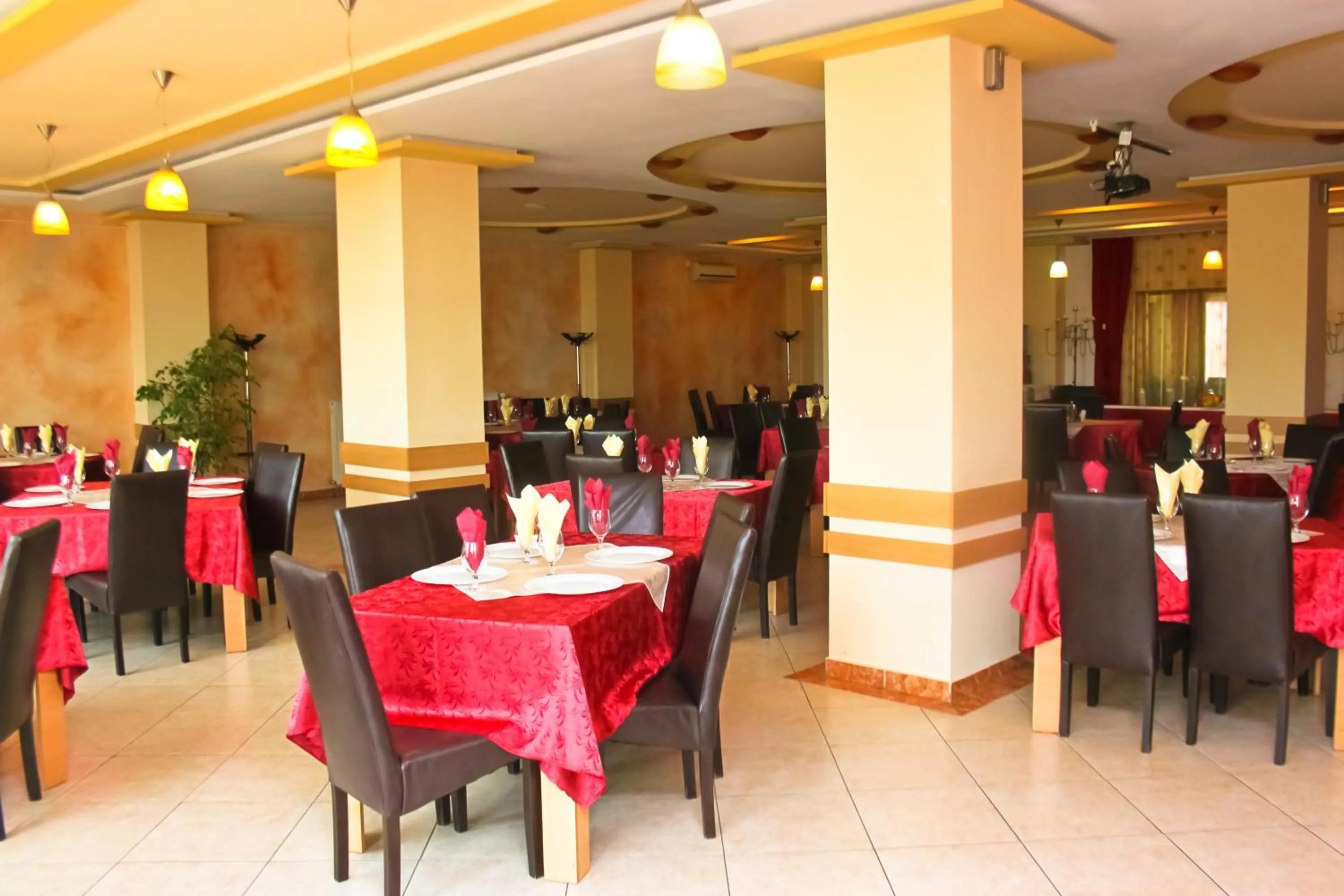 Restaurant/places to eat in Hotel Alexandra