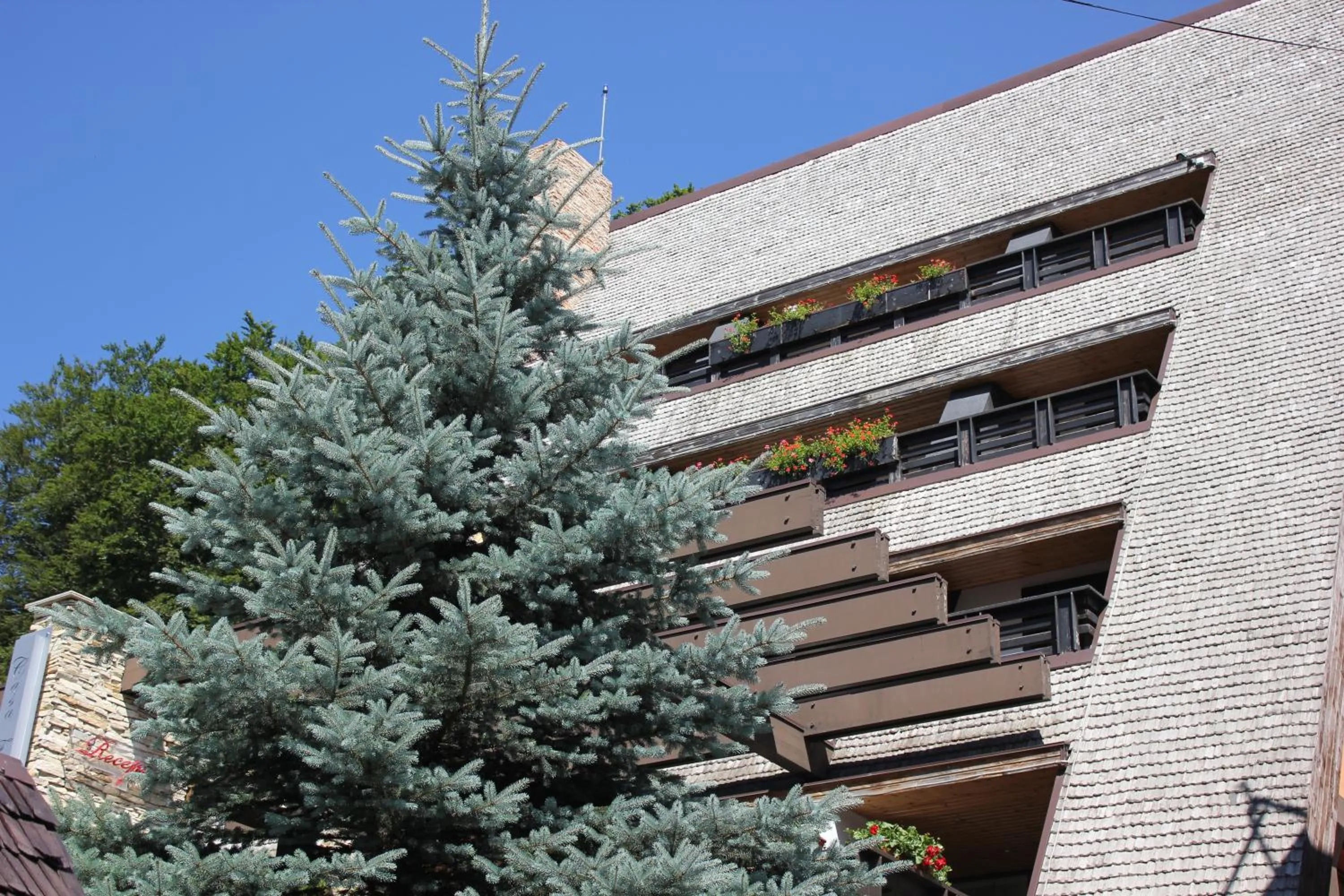 Property building in Casa Freya