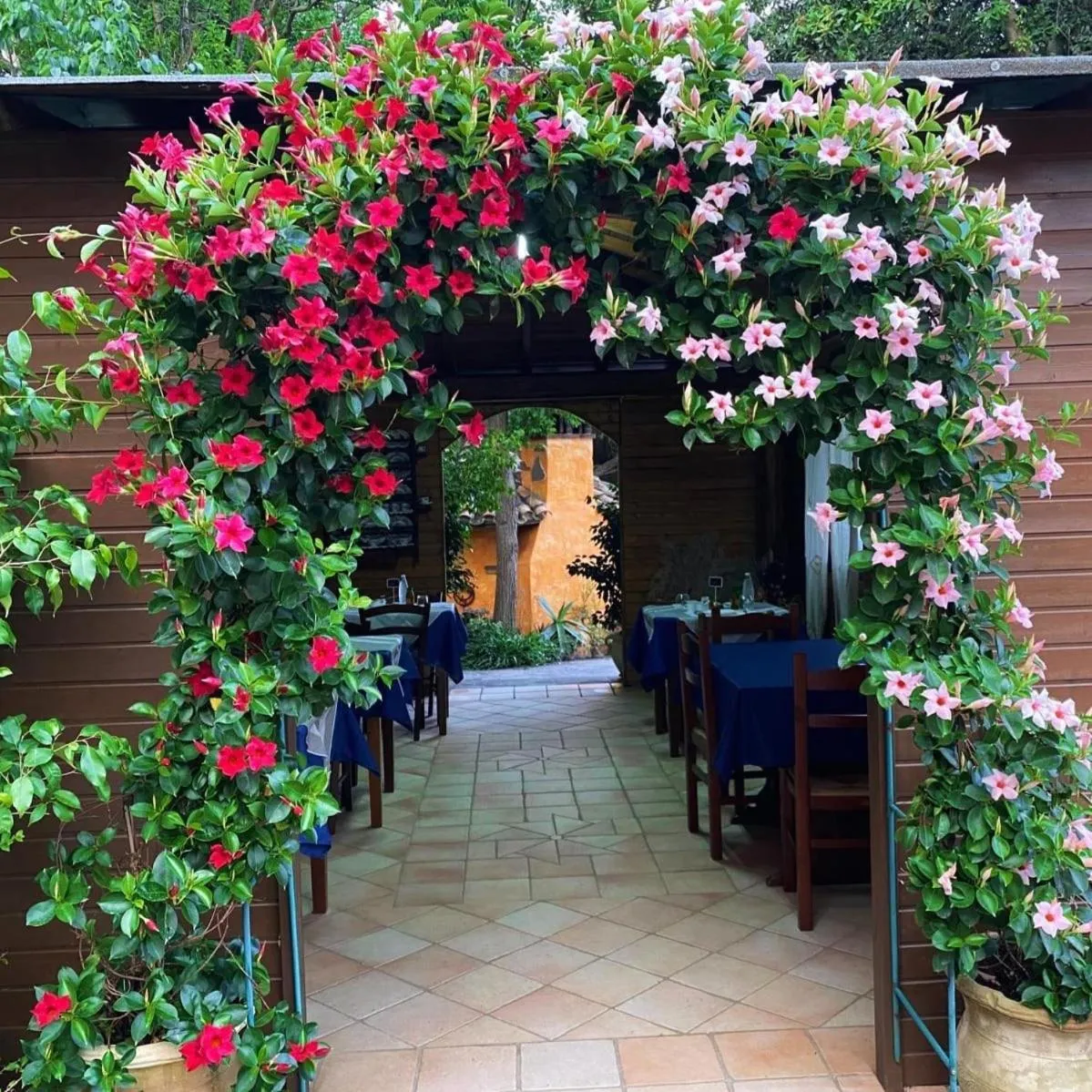 Property building in B&B Il Girasole