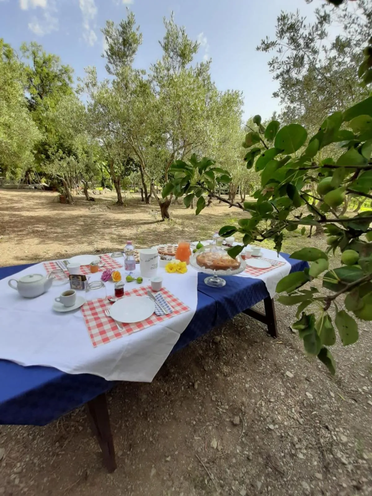 Property building in B&B Il Girasole