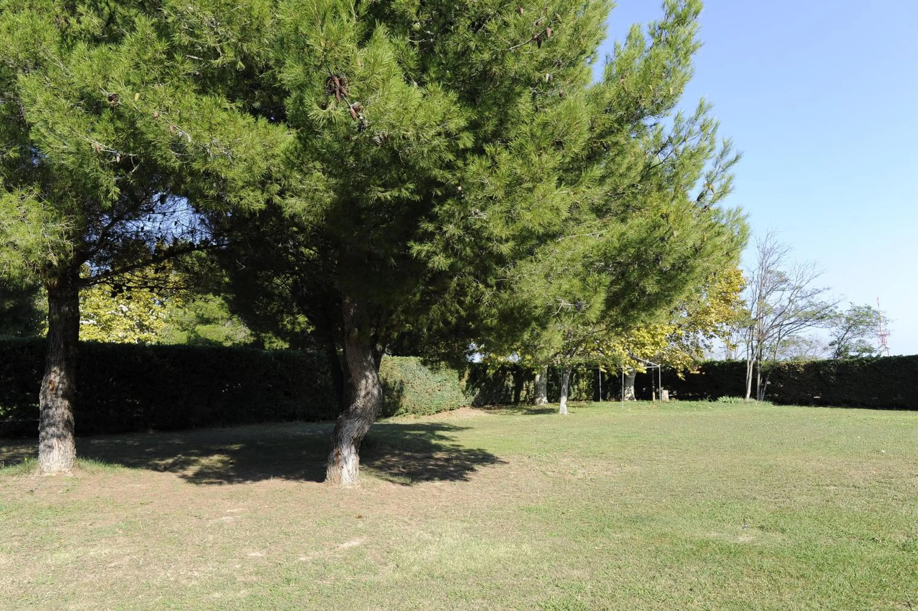 Garden in Aeroport Hotel - Parc Expo