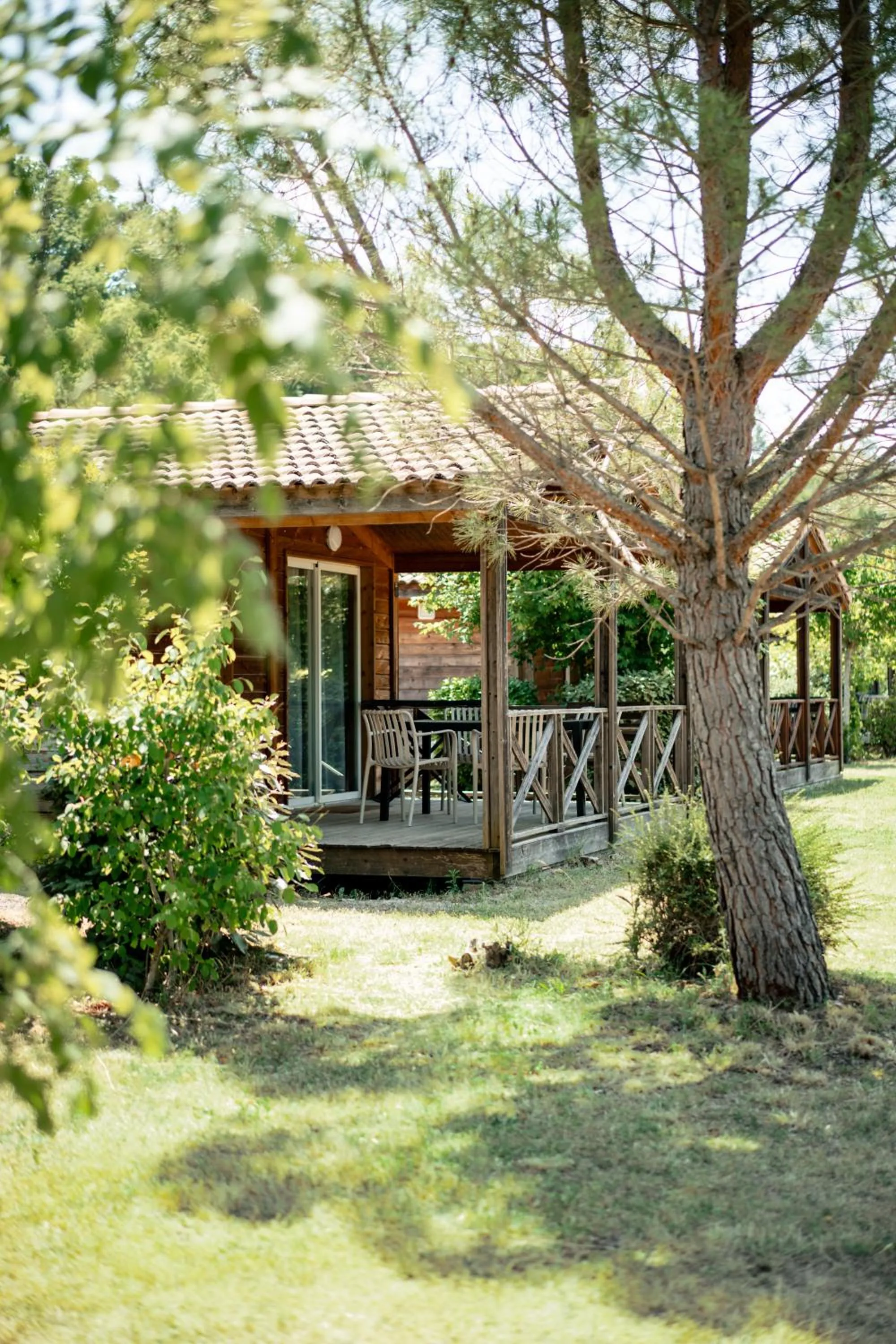 Spring in Domaine Saint Estève