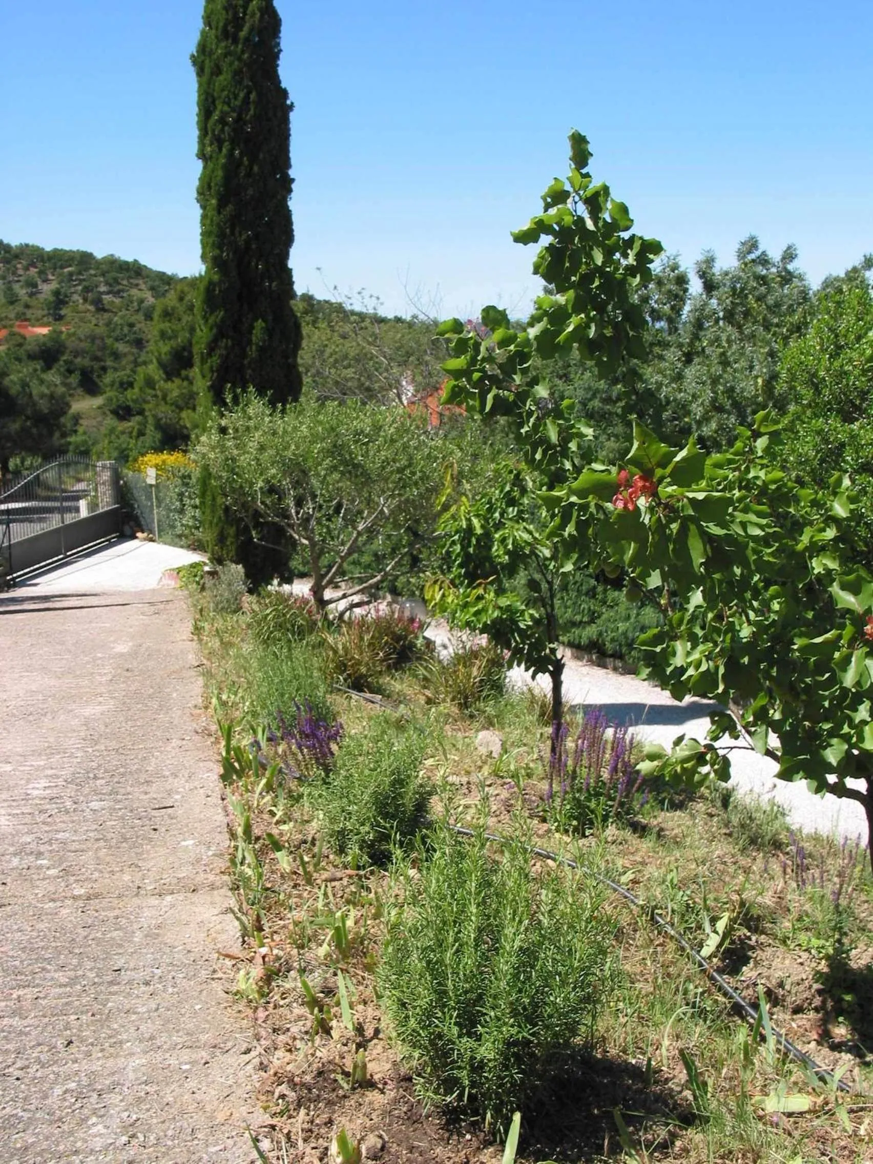 Facade/entrance in Le Relais Des Chartreuses