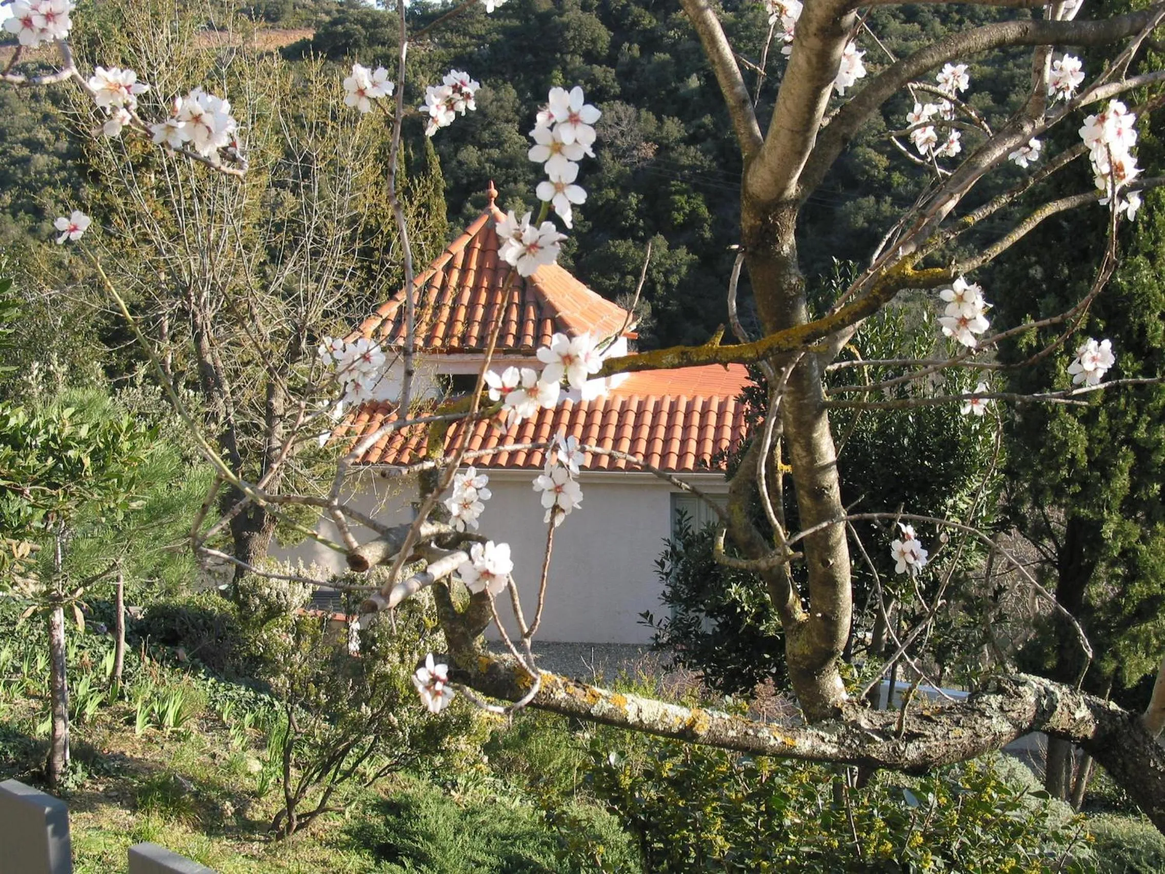 Facade/entrance in Le Relais Des Chartreuses