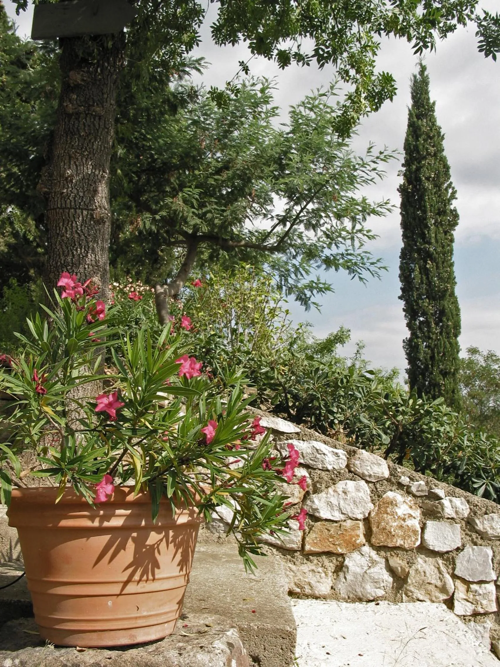 Garden in Le Relais Des Chartreuses