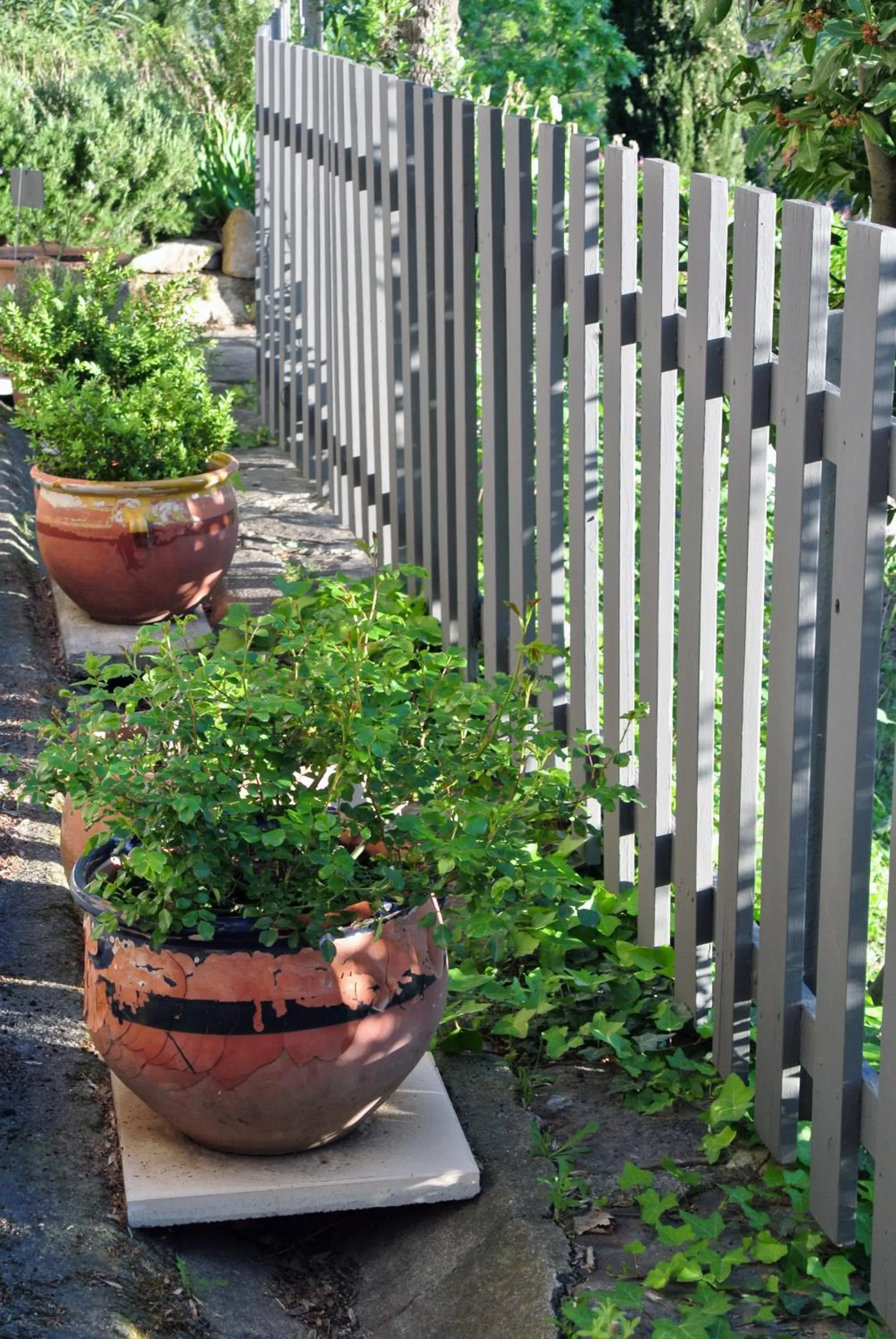 Garden in Le Relais Des Chartreuses