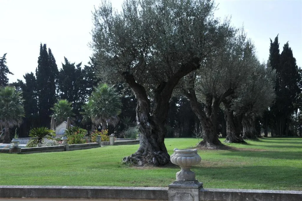 Garden in Domaine du Grand Malherbes