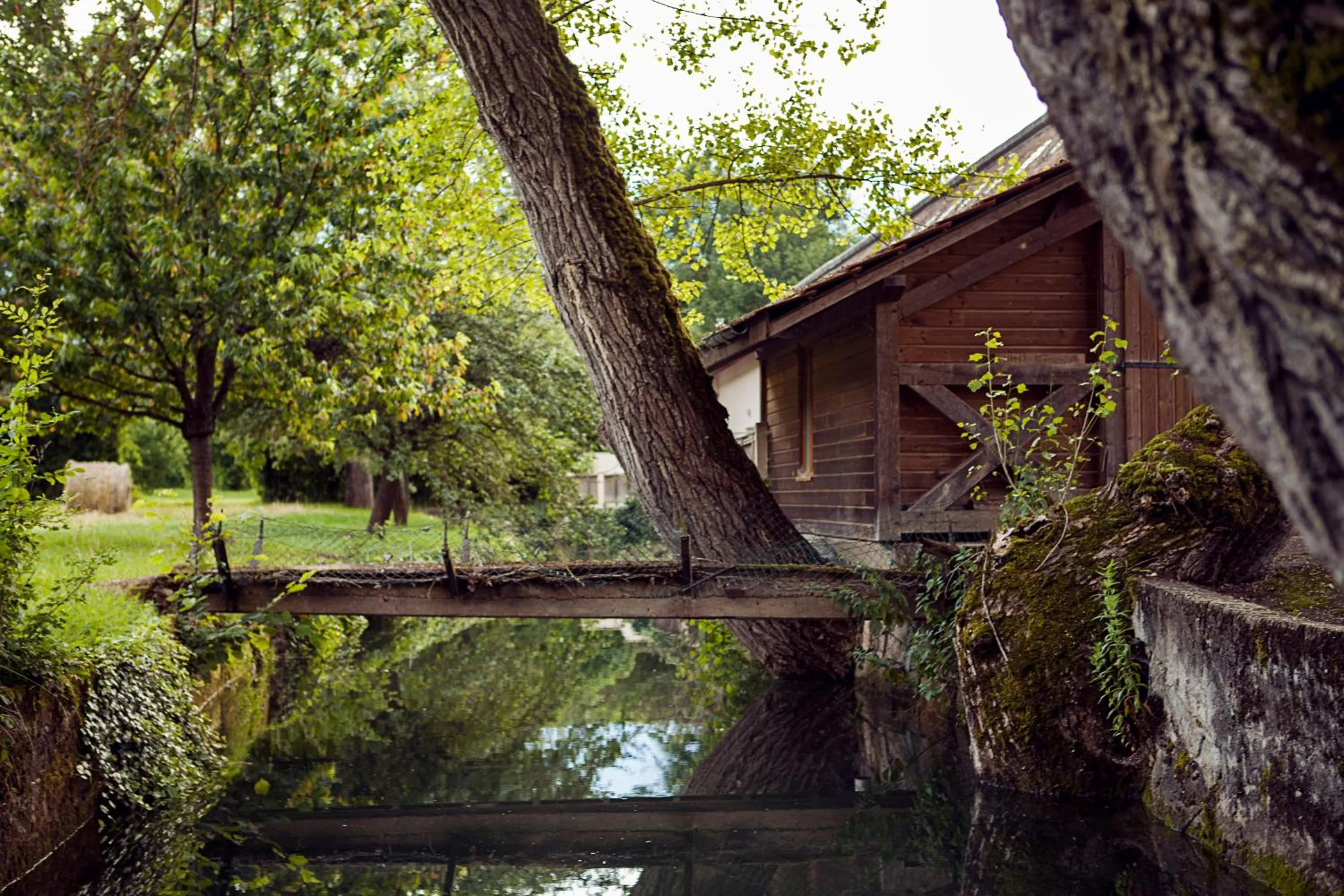 River view in Hôtel La Gentilhommière