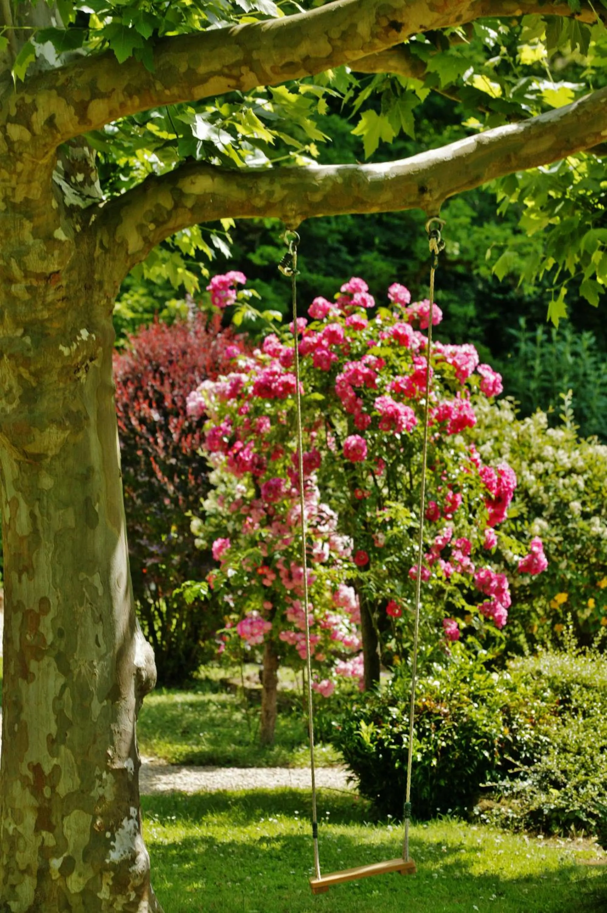 Spring in Les Glycines - Hôtel & Spa - Teritoria
