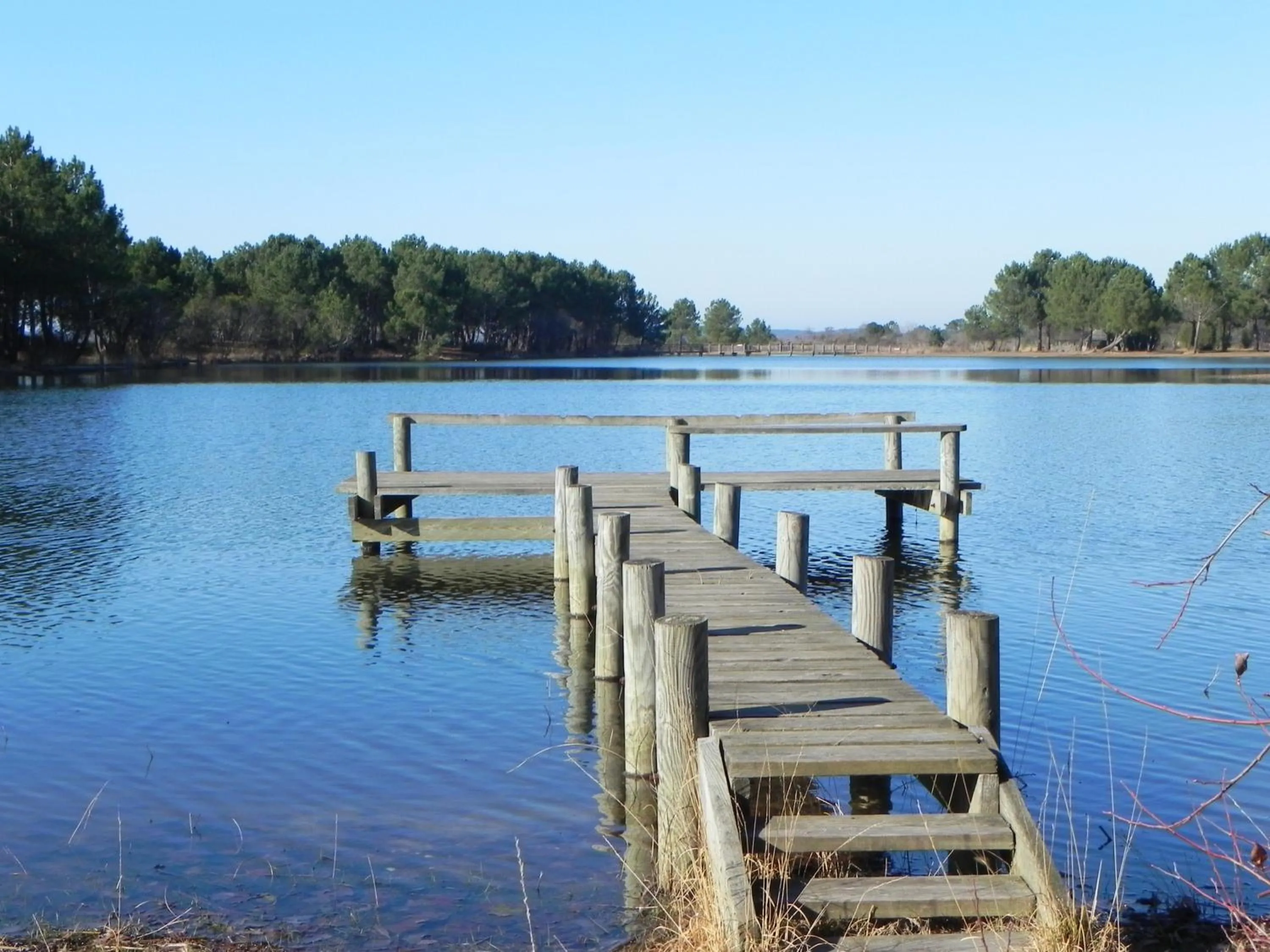 Day in Hotel Les Pins