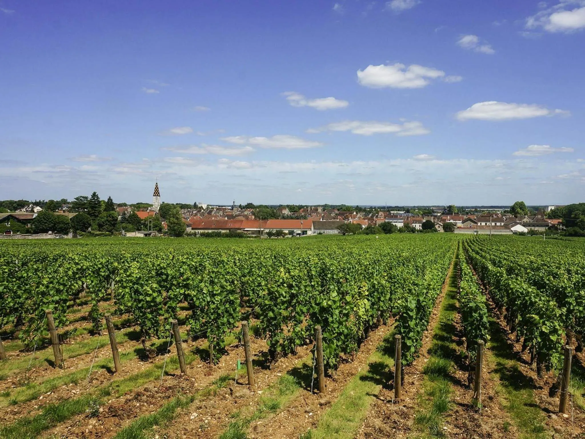 Other in ibis budget Nuits Saint Georges