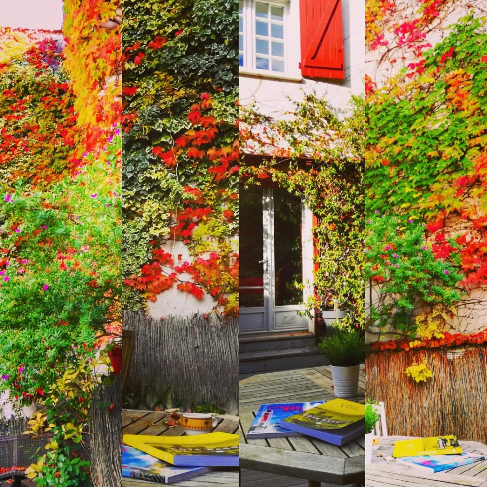 Patio in Hôtel La Marisa Grande Plage