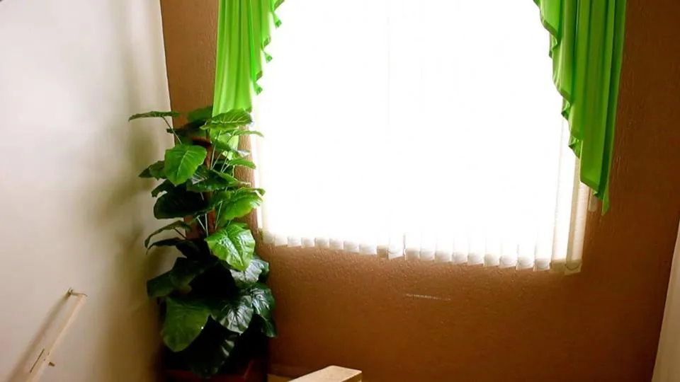 Lobby or reception in Hotel Rio Branco - Melhor Opção Perto da 25 de Março, Santa Ifigênia e Metrô República