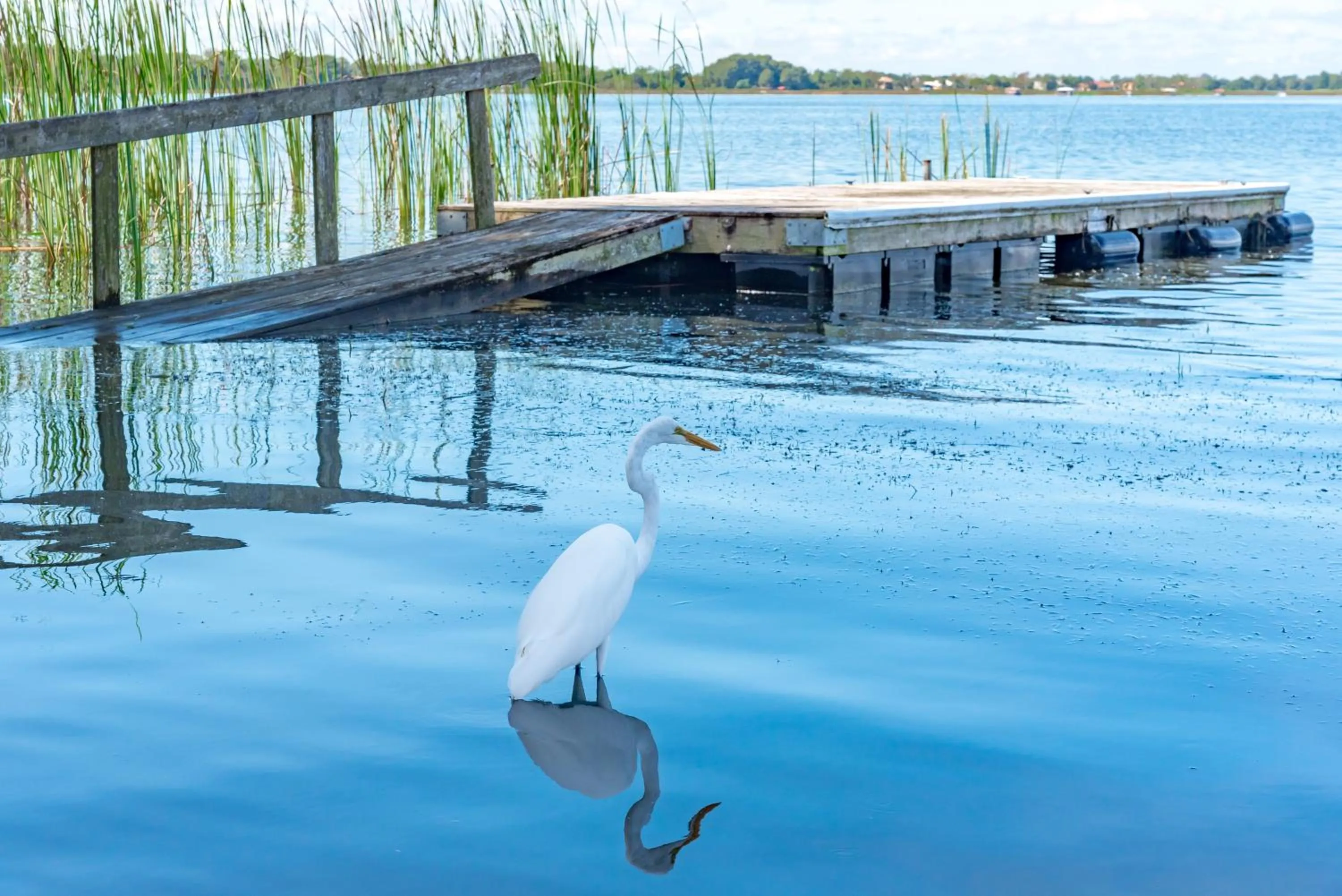 The Heirloom Inn Mount Dora